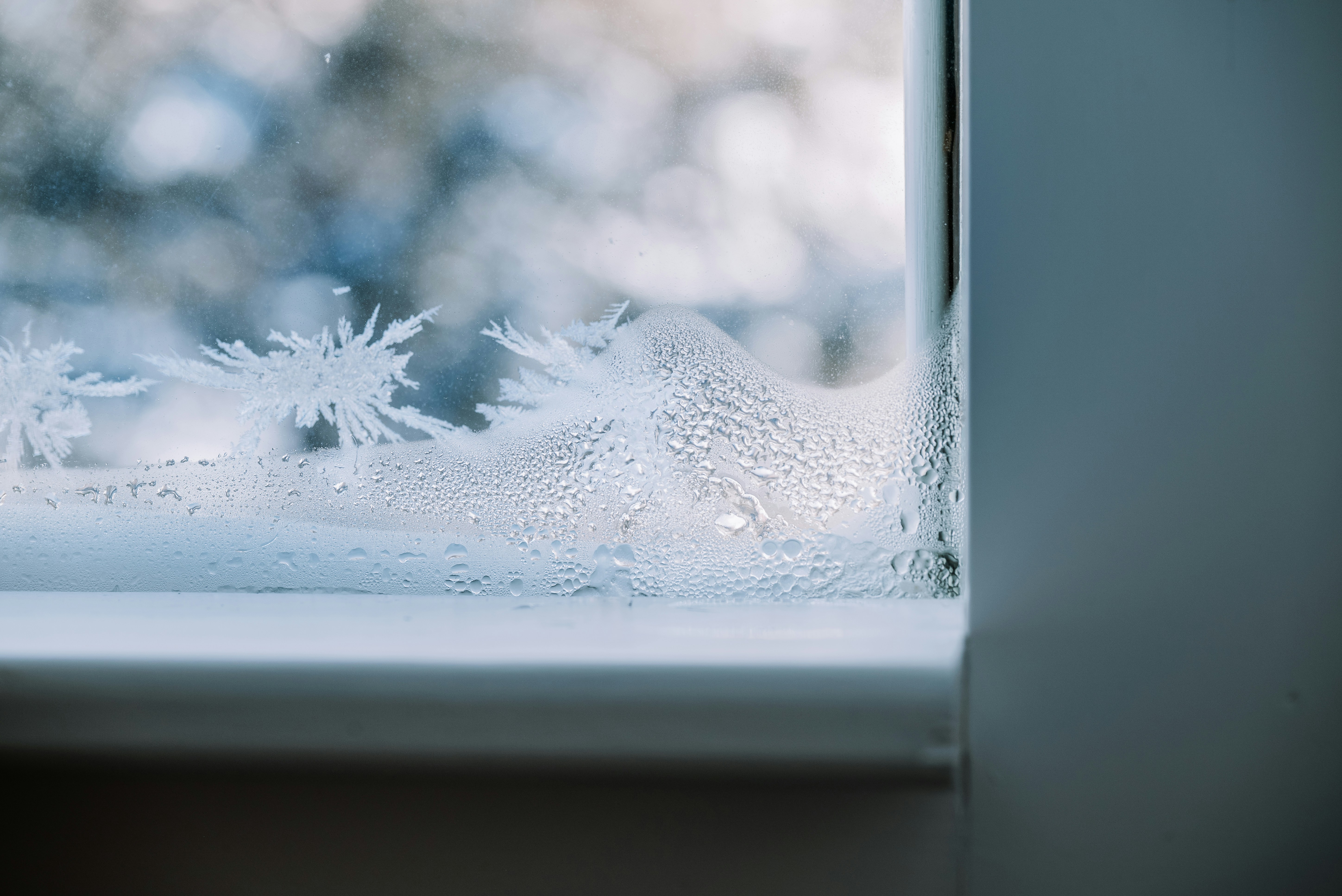 Frosted window