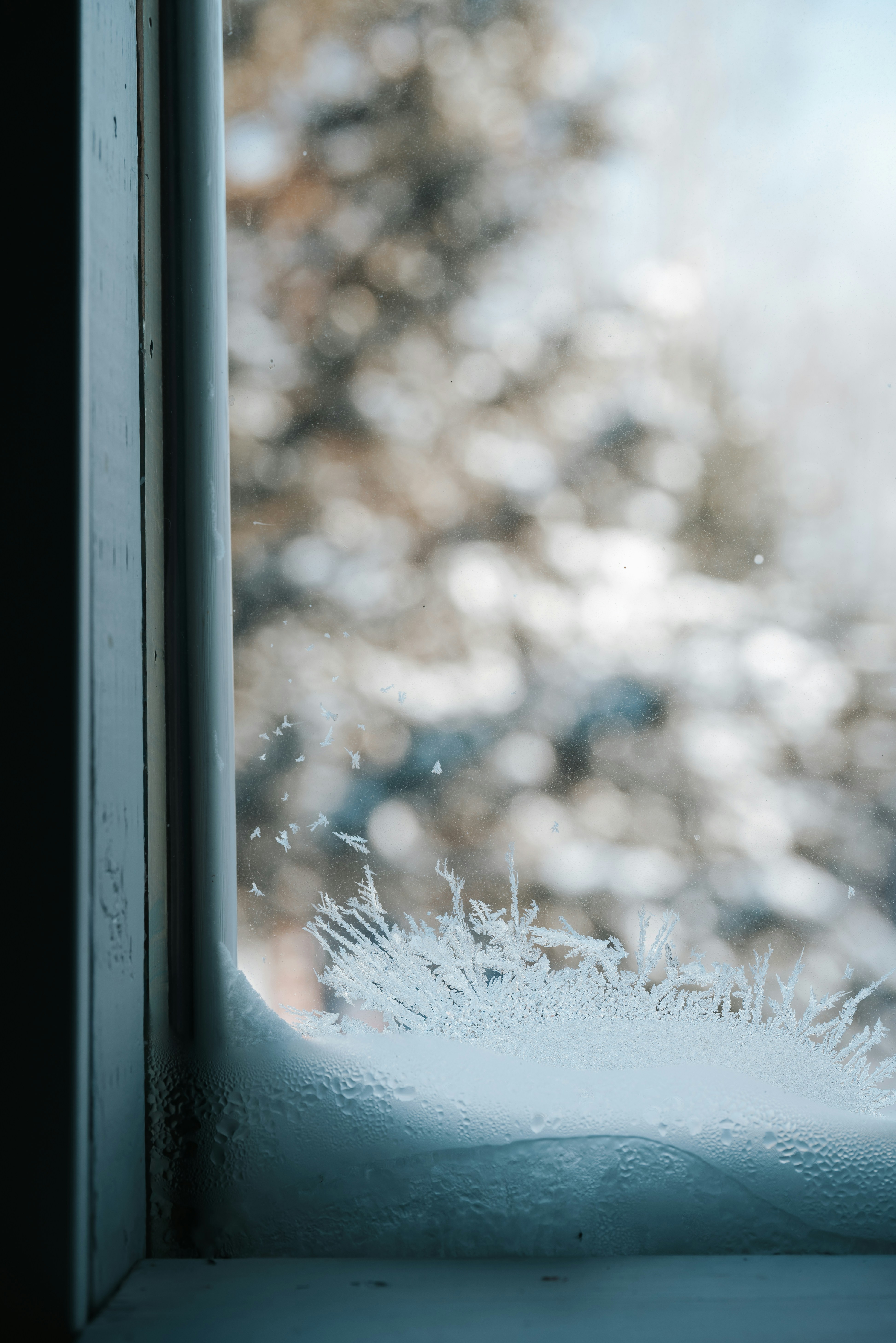 Le givre se forme sur une vitre en hiver.