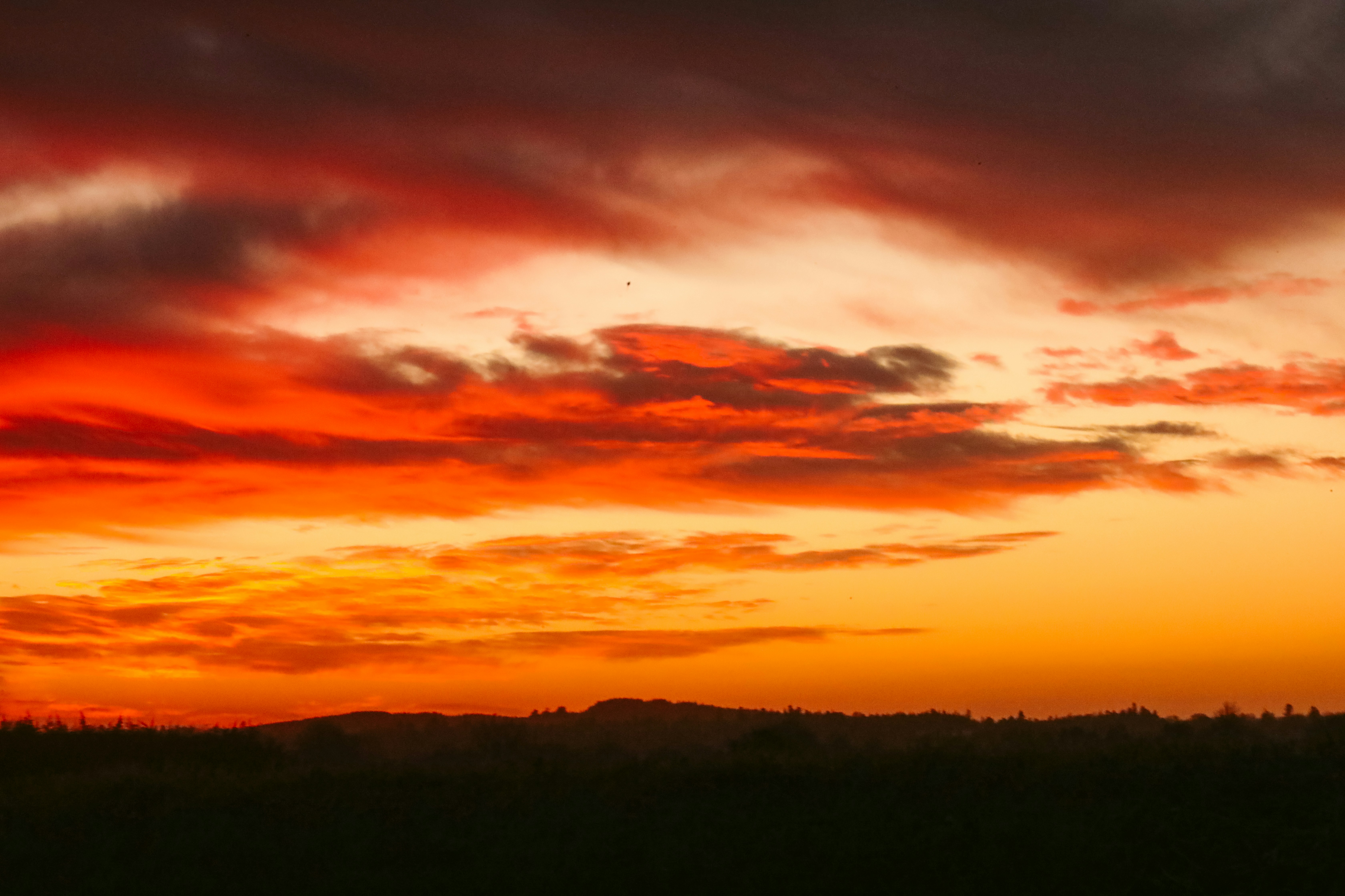 Photo by himo_beast1996