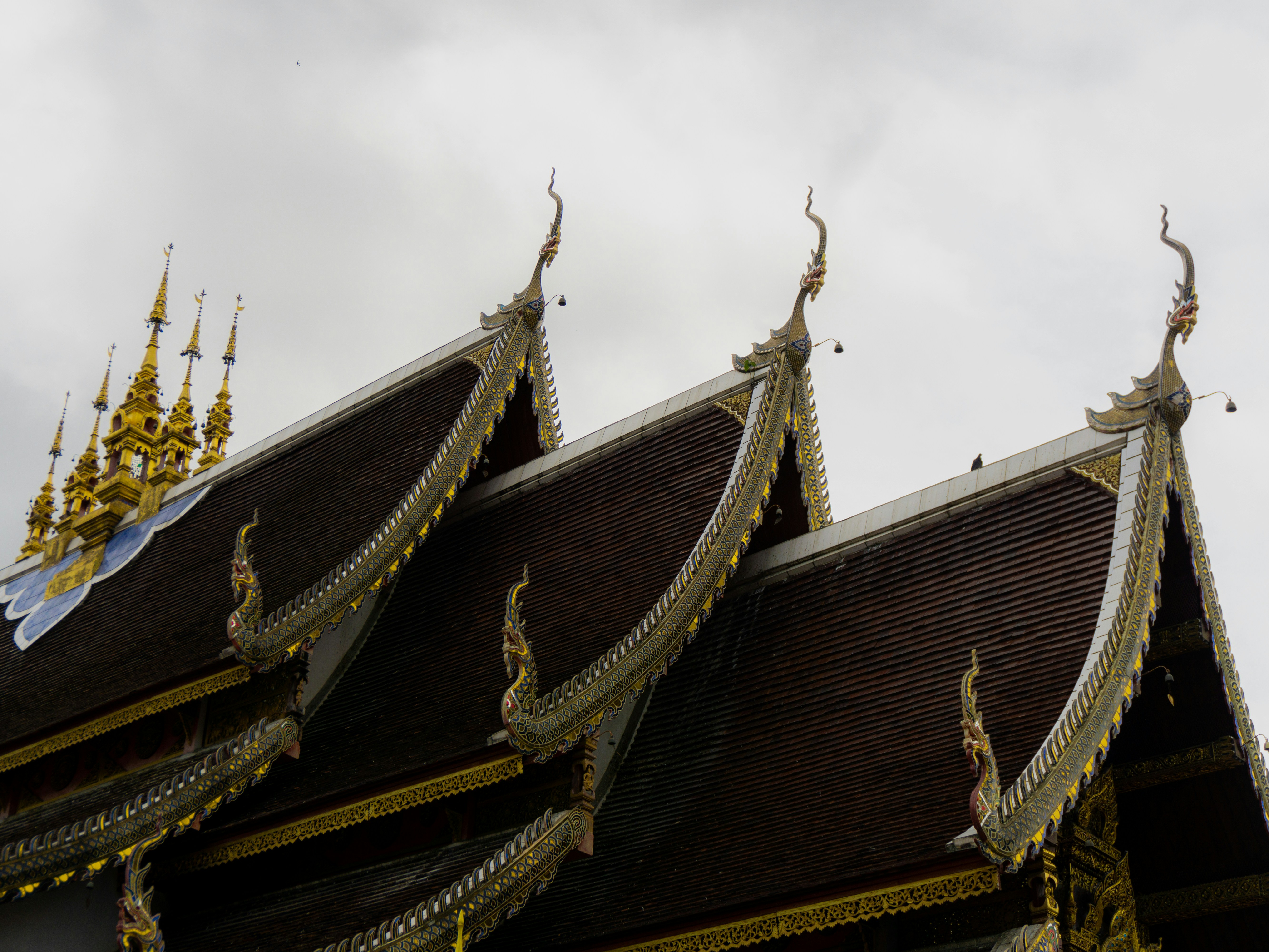 Photo by theotopolevsky