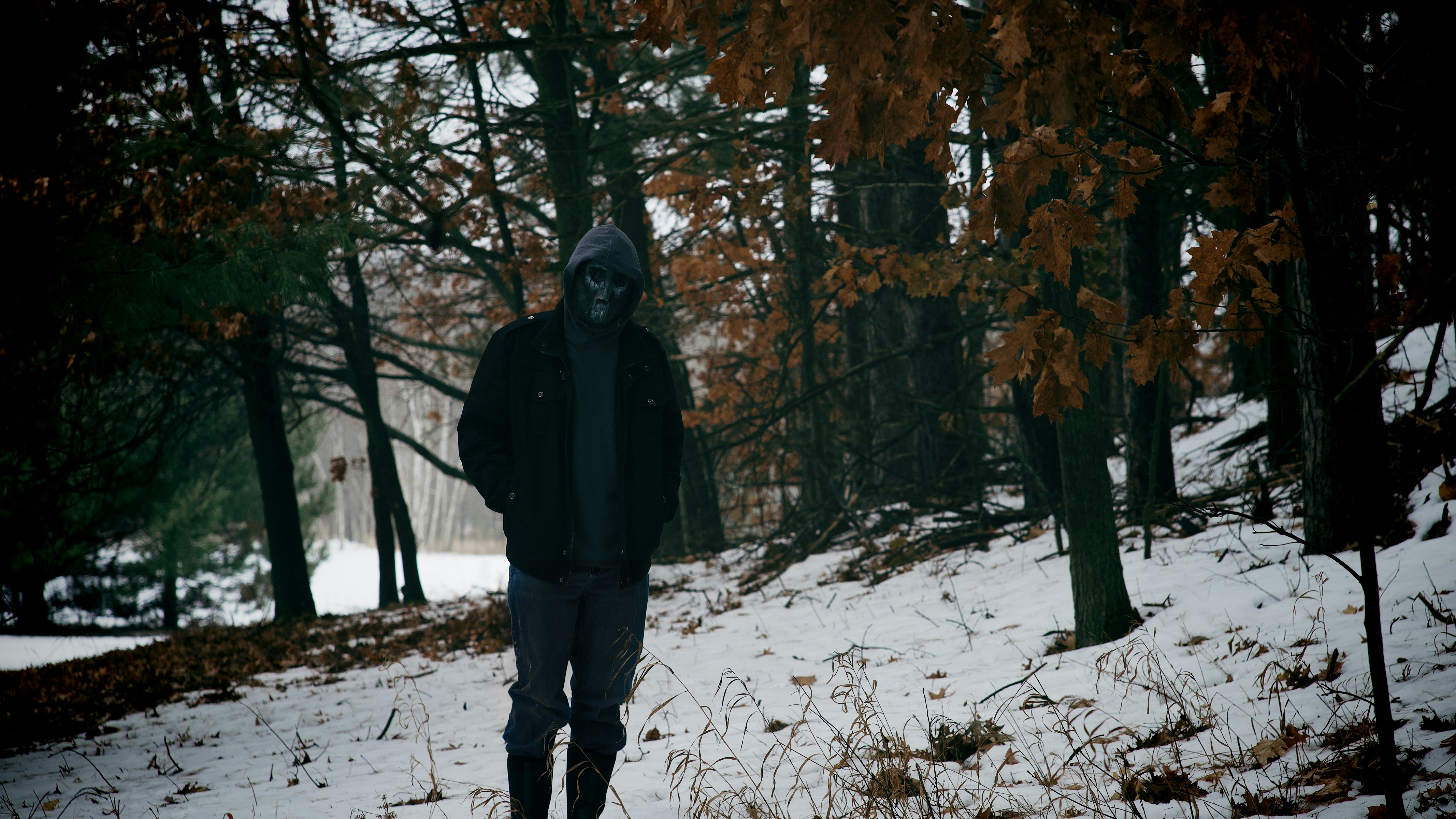 A person walks through a snowy forest