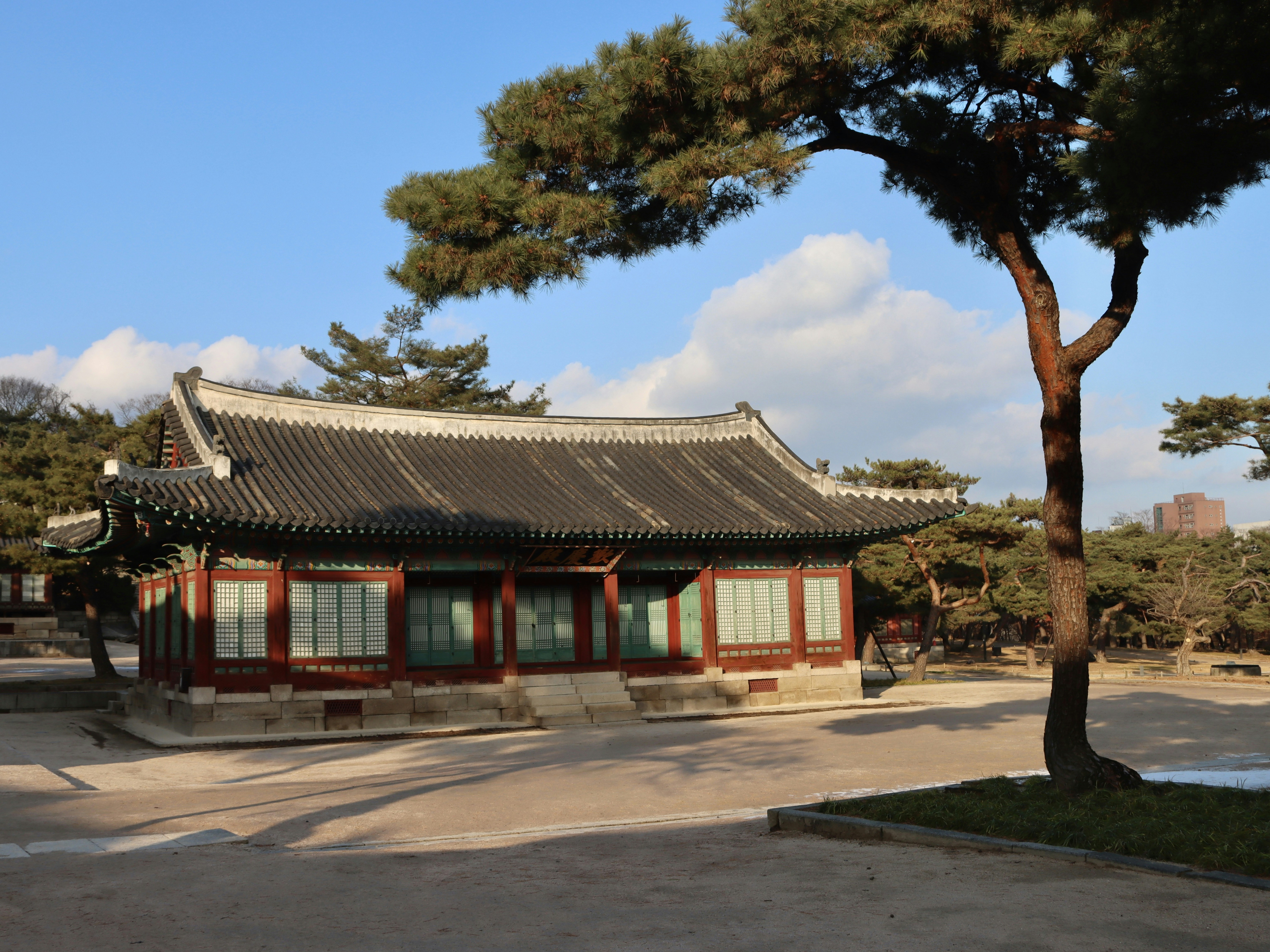 Traditional korean building with pine trees and blue sky