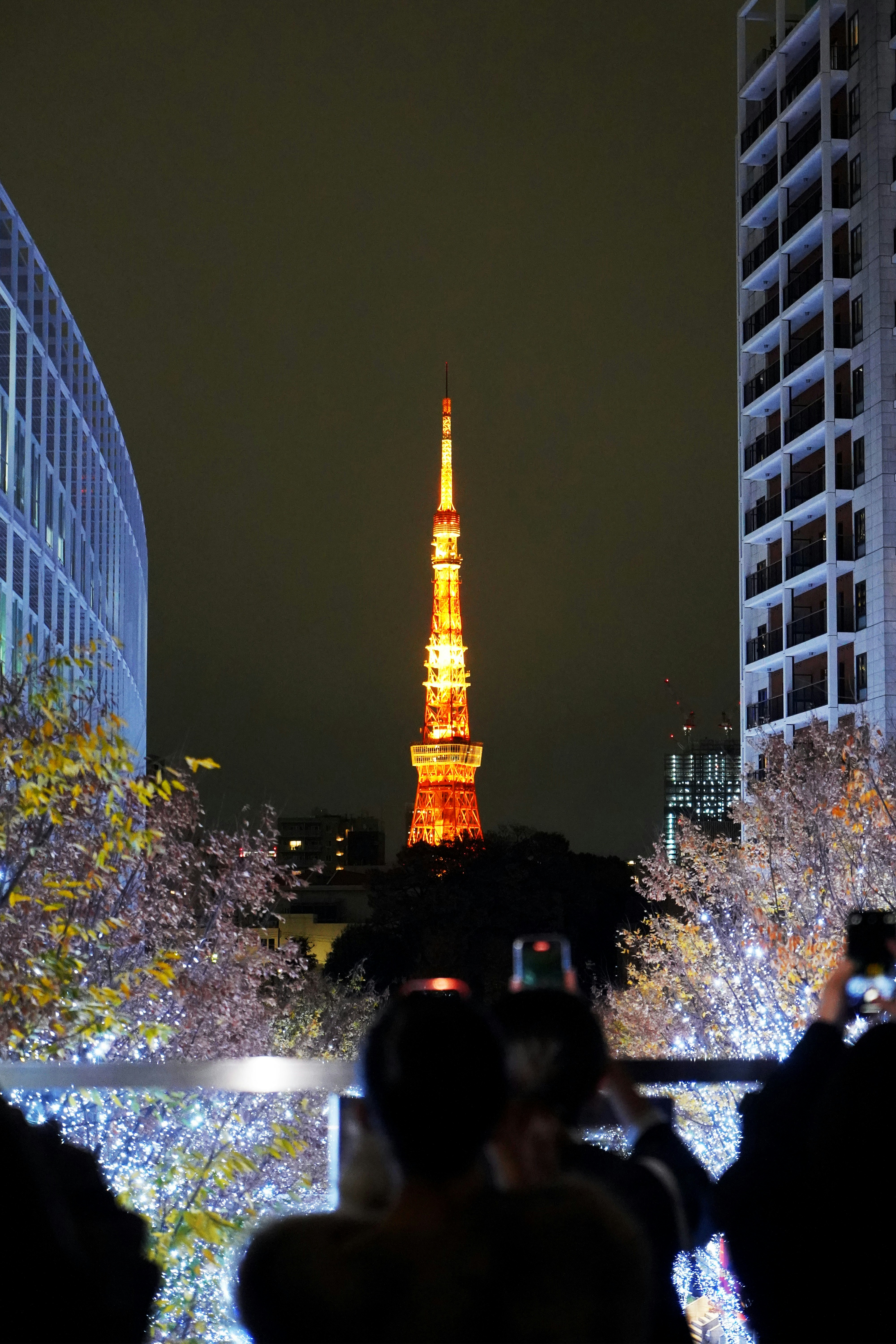 Photo by puhihihi1018