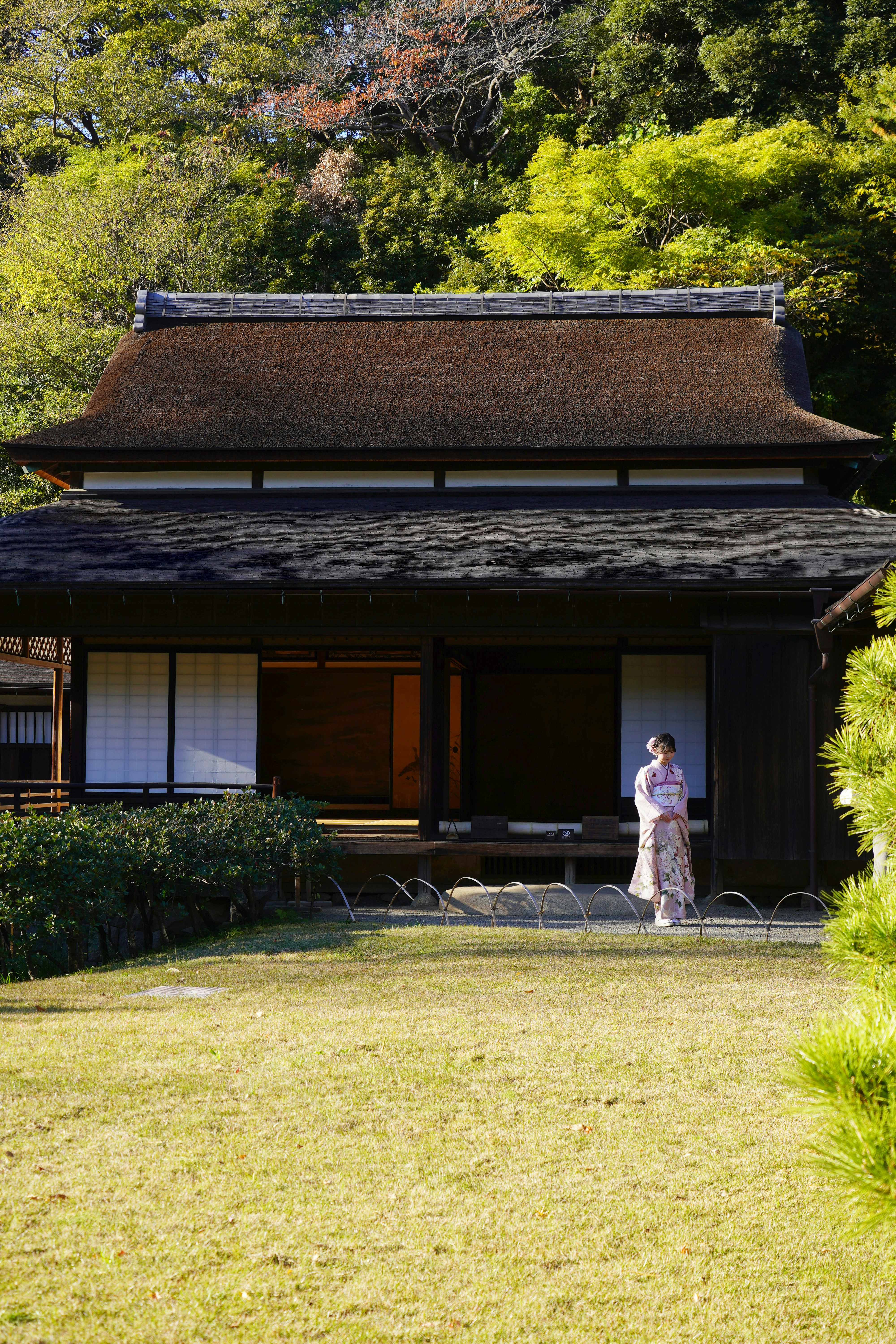 Photo by puhihihi1018