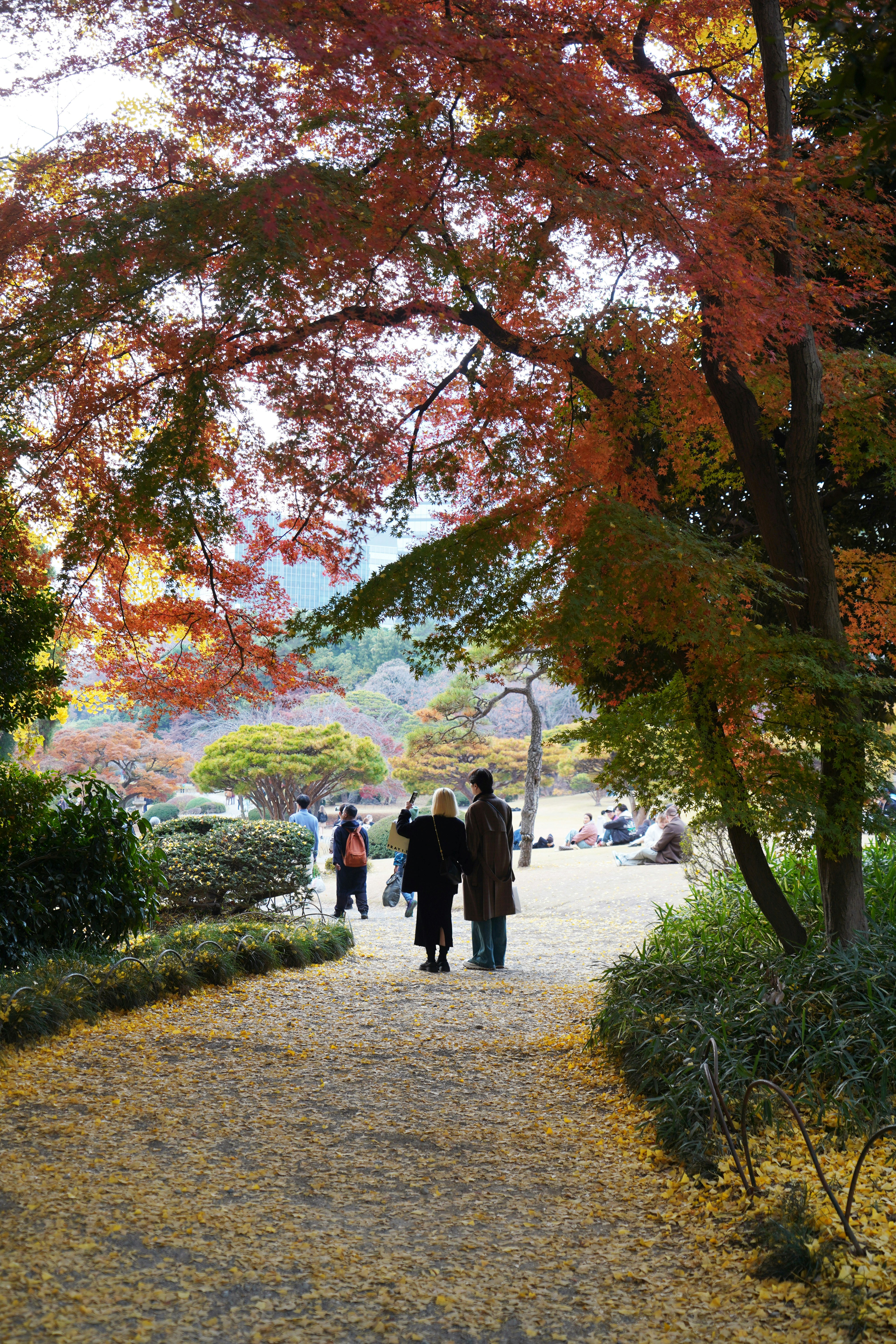 People walking on a path in a park during autumn