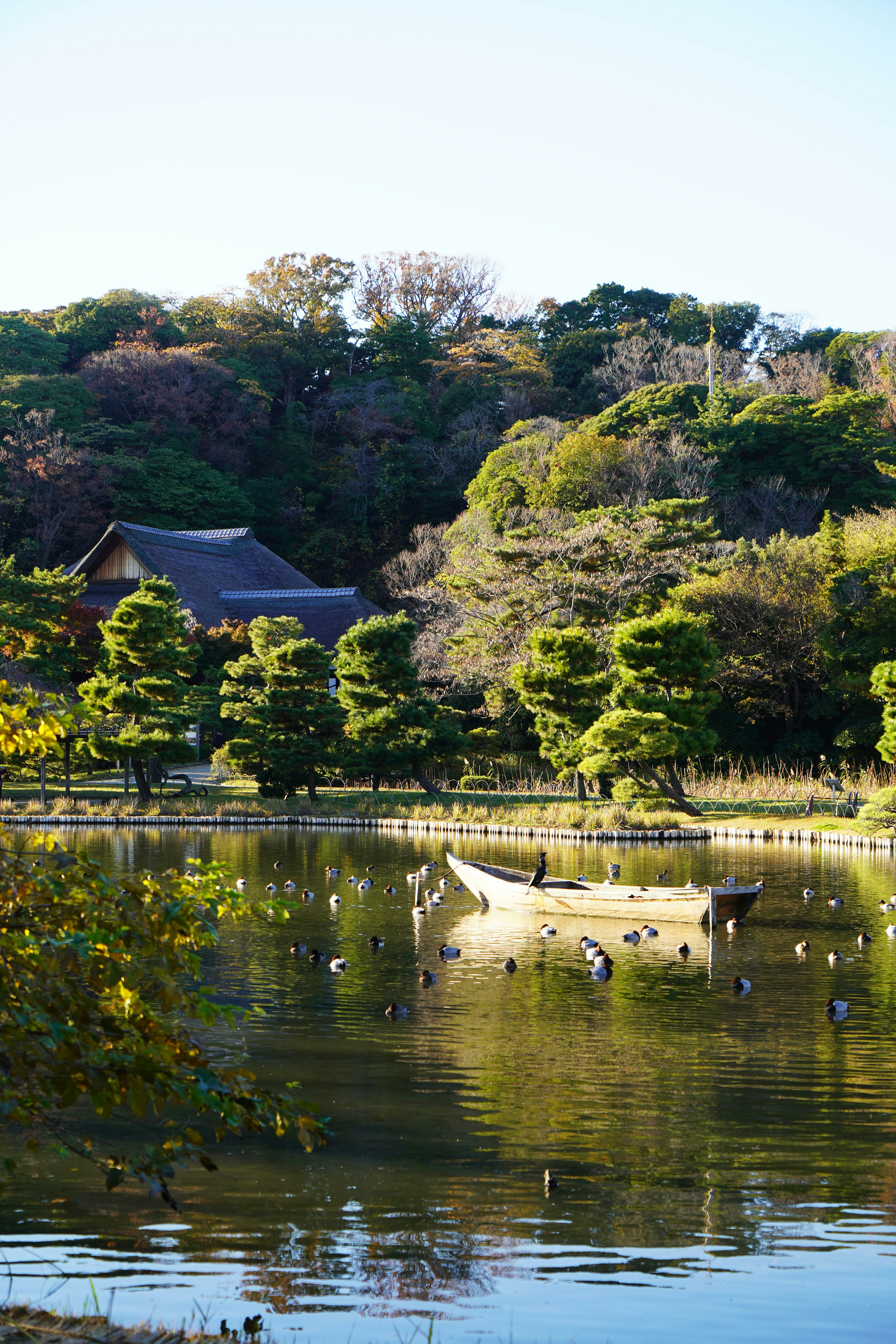 Photo by puhihihi1018