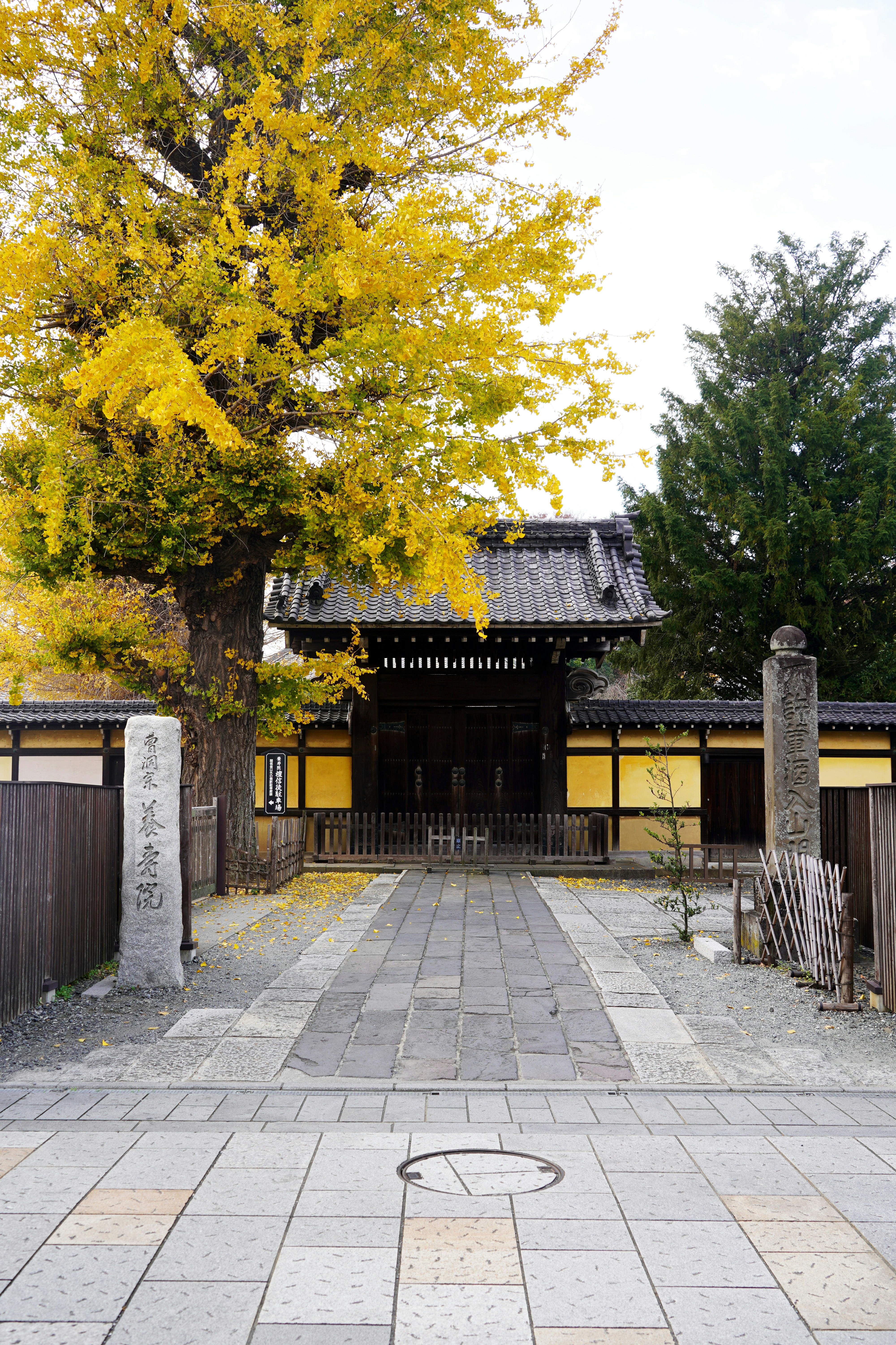Entrance to a japanese temple with autumn foliage.