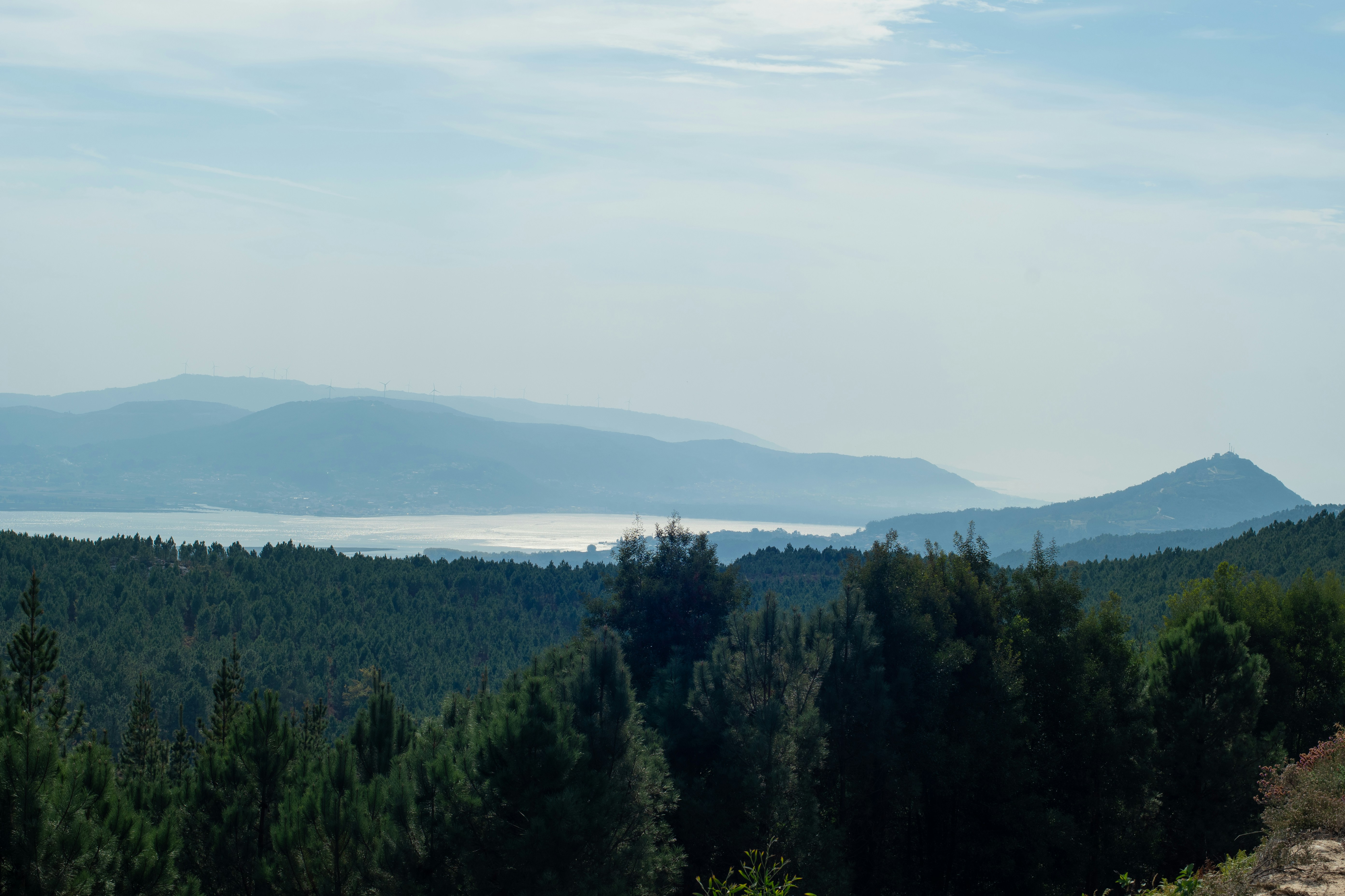 Photo by nataliaraylenegusakova