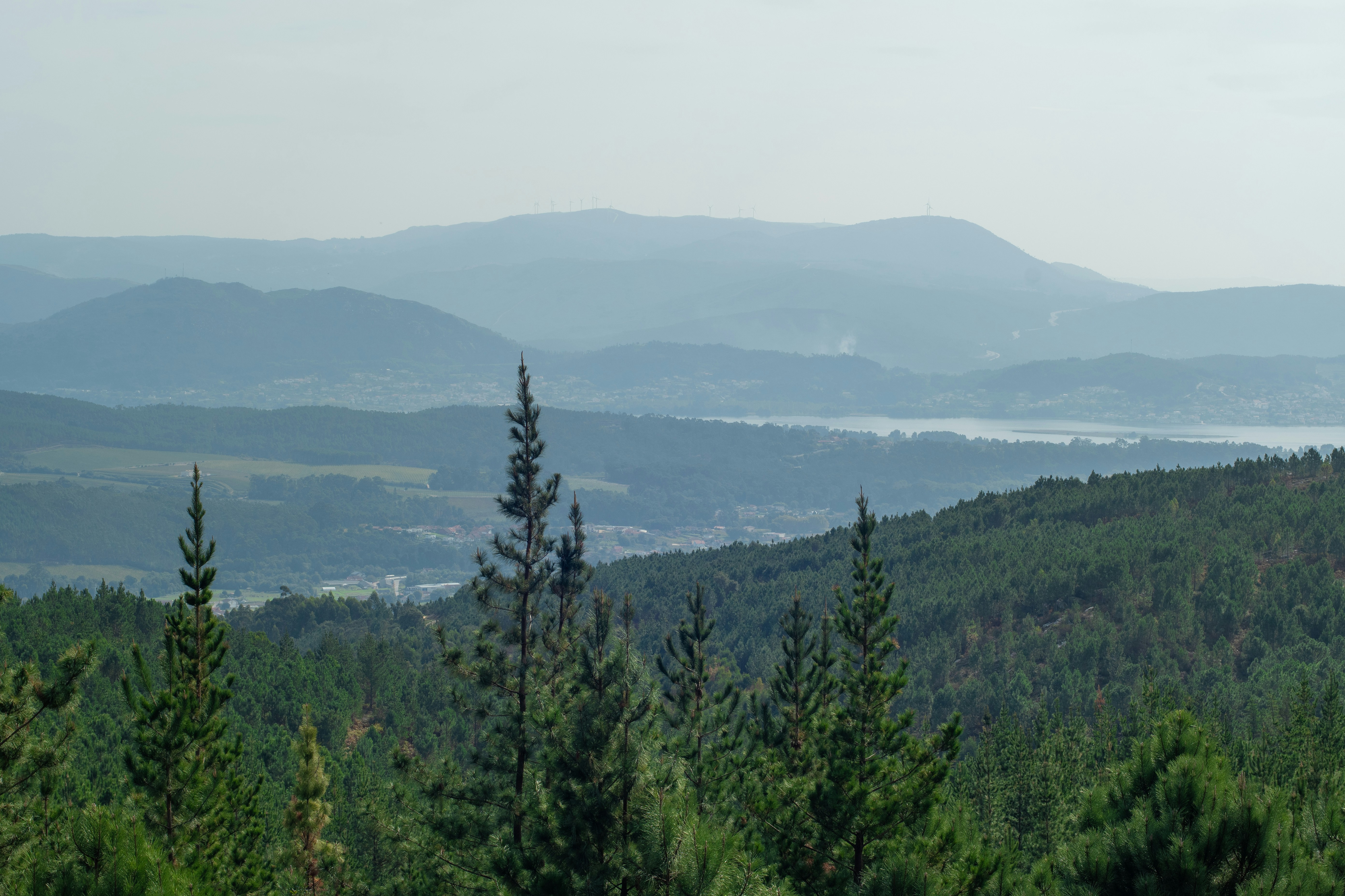 Photo by nataliaraylenegusakova