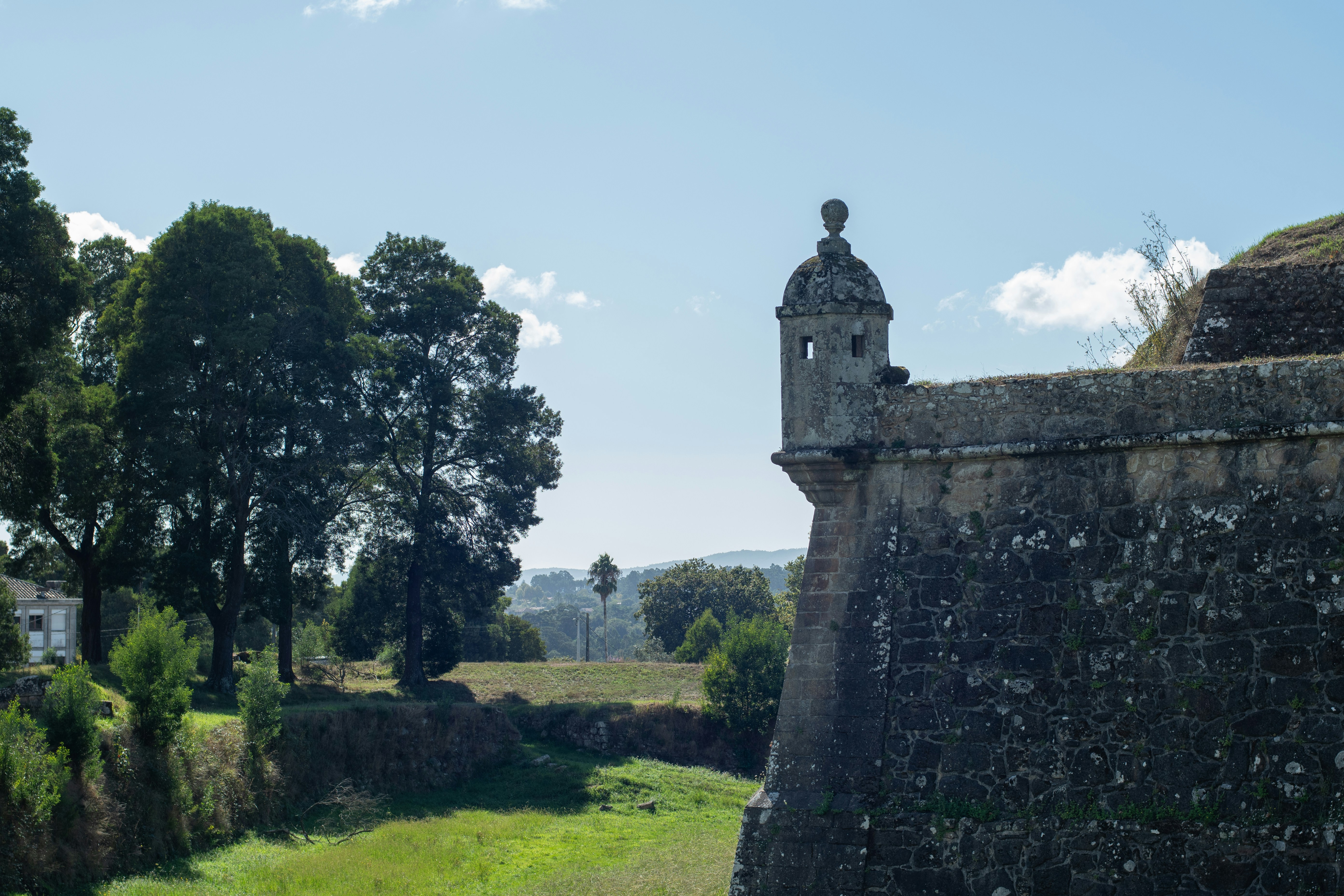 Photo by nataliaraylenegusakova