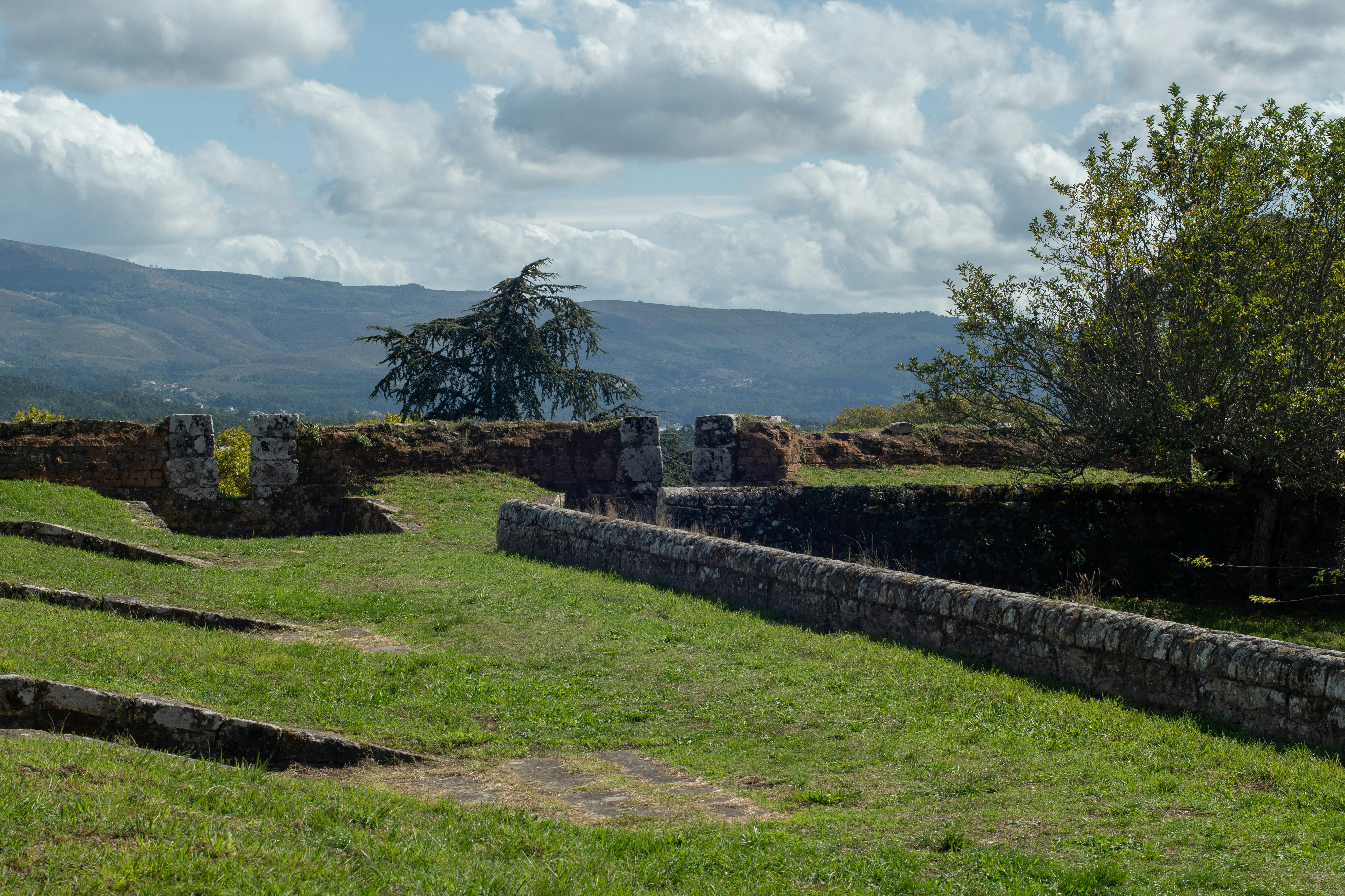 Photo by nataliaraylenegusakova