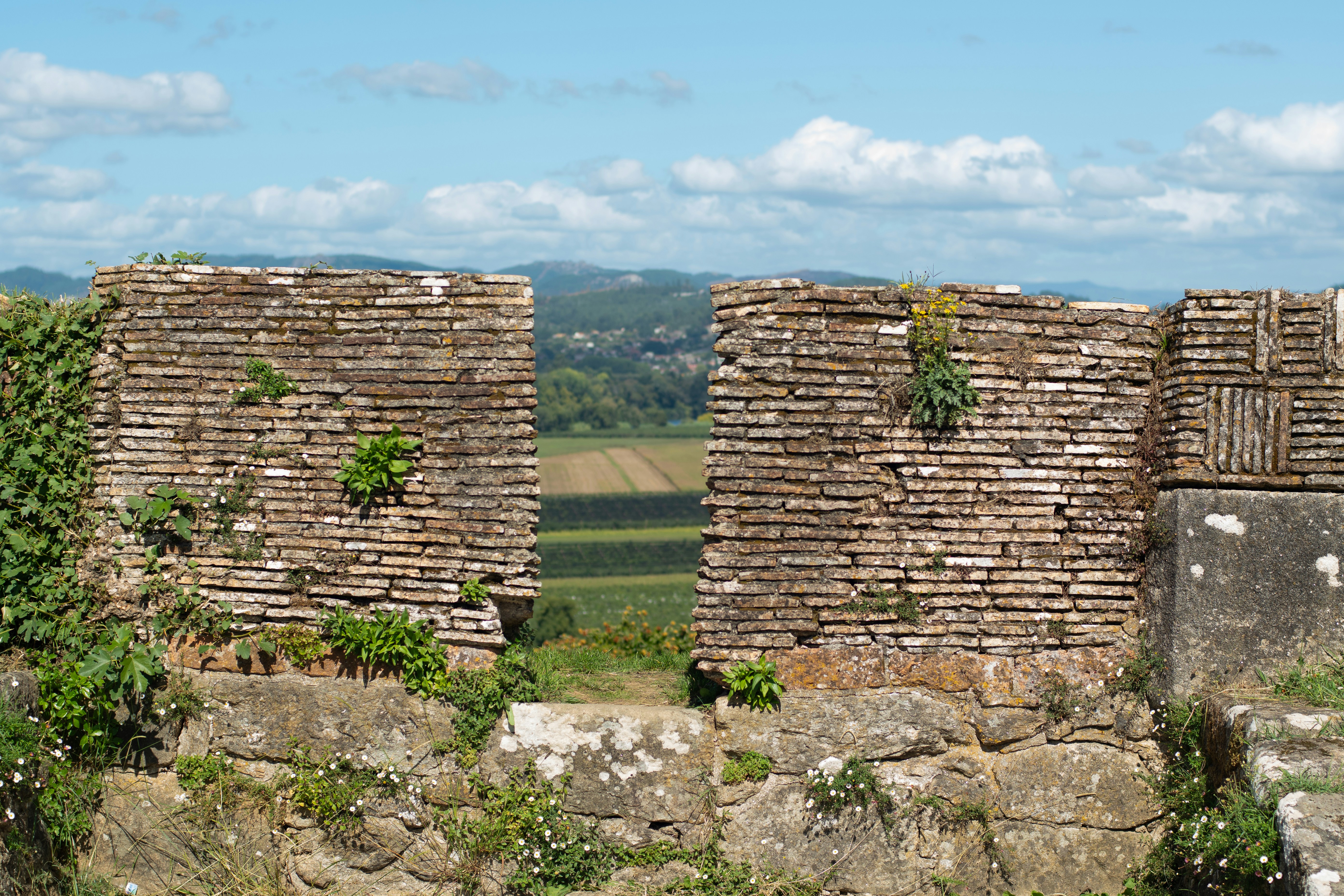 Photo by nataliaraylenegusakova