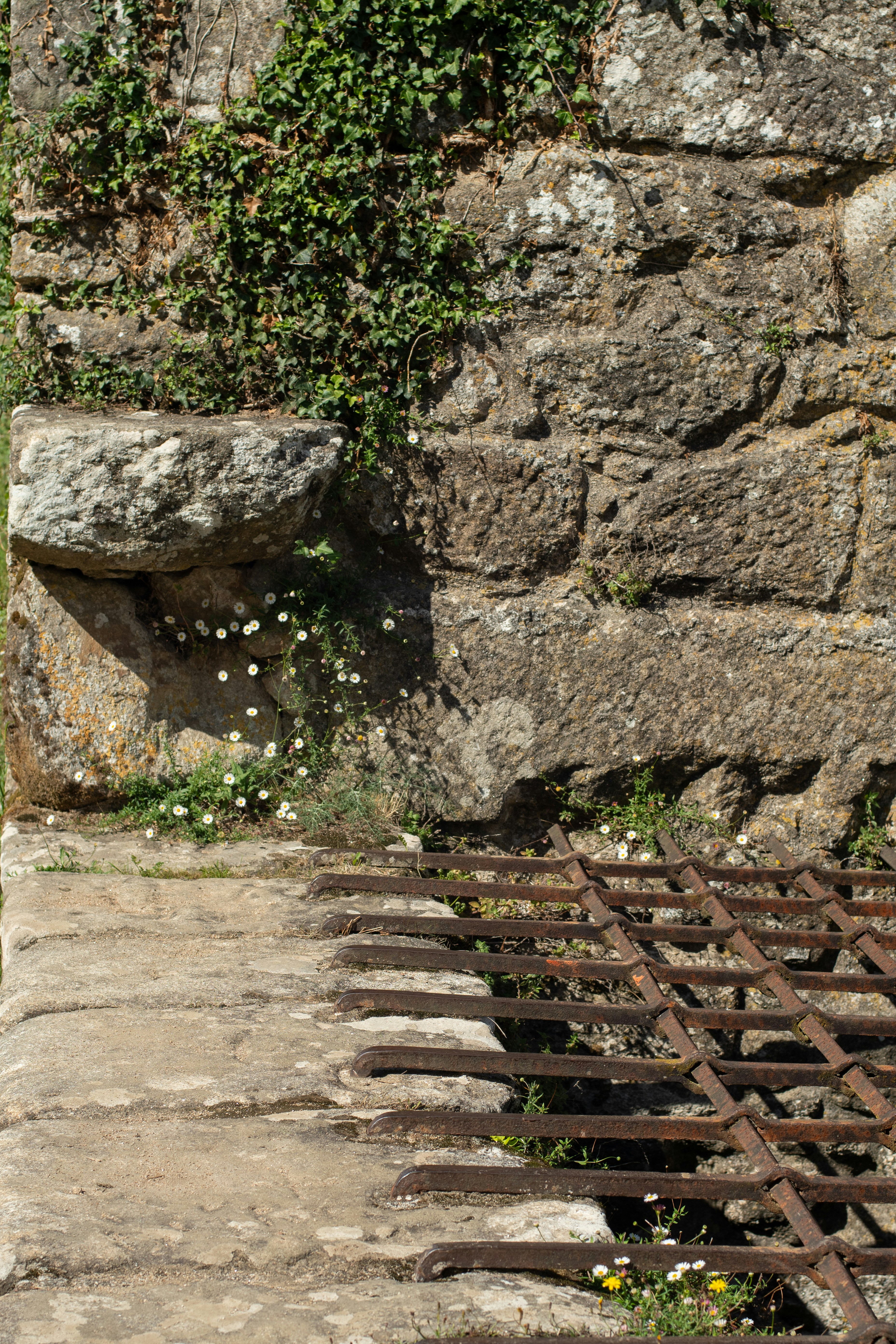 Photo by nataliaraylenegusakova