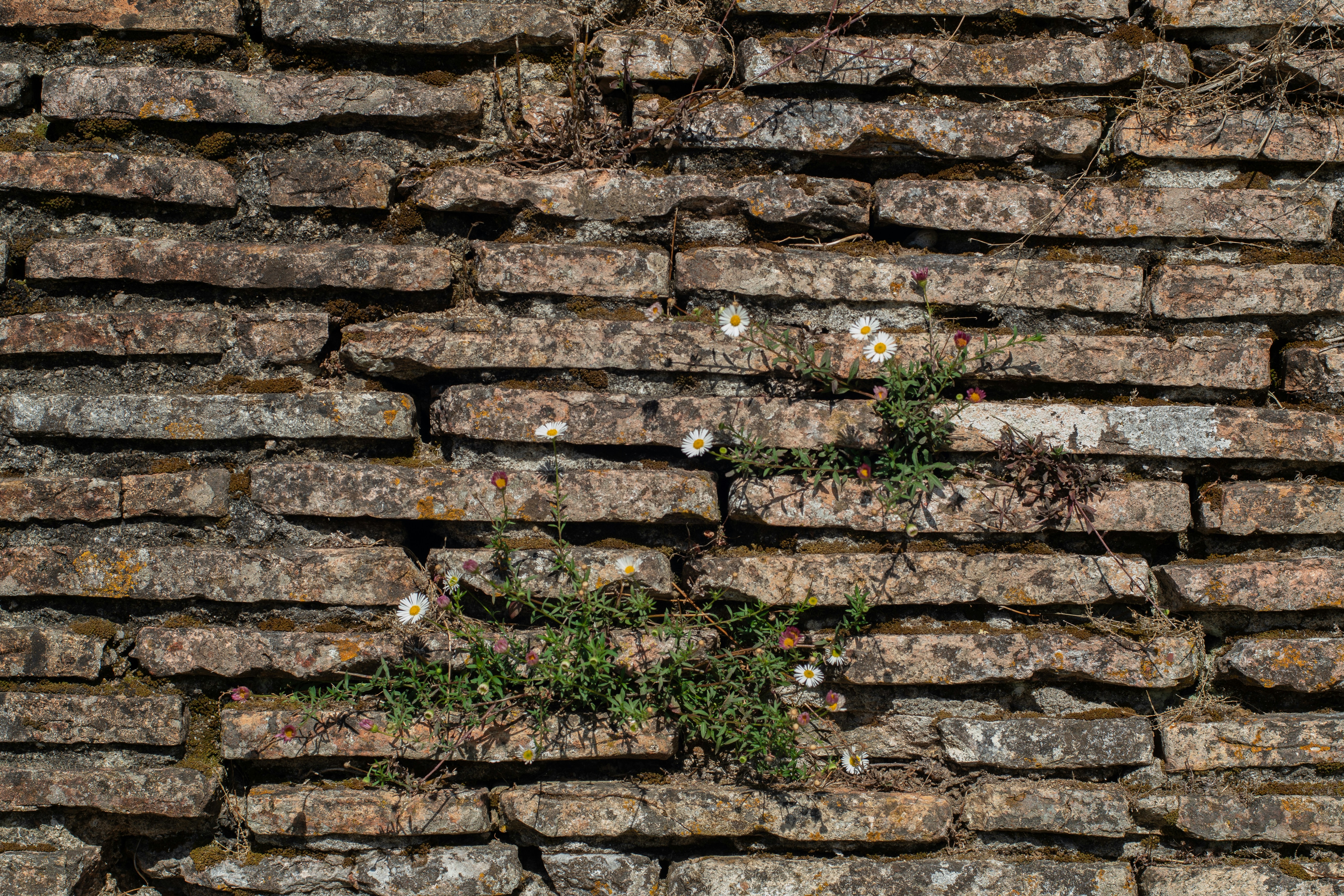 Photo by nataliaraylenegusakova