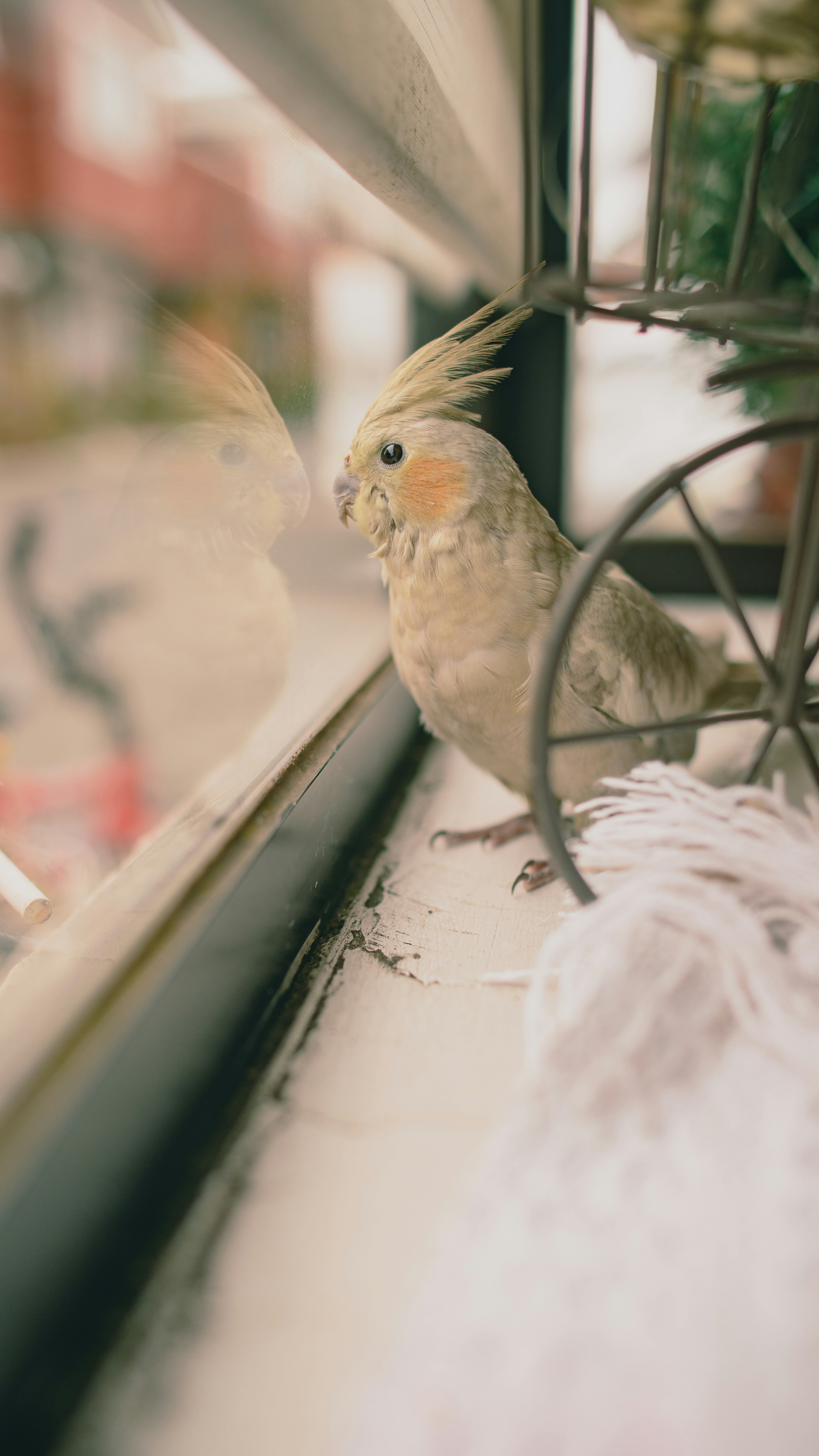 Photo by davidvilches