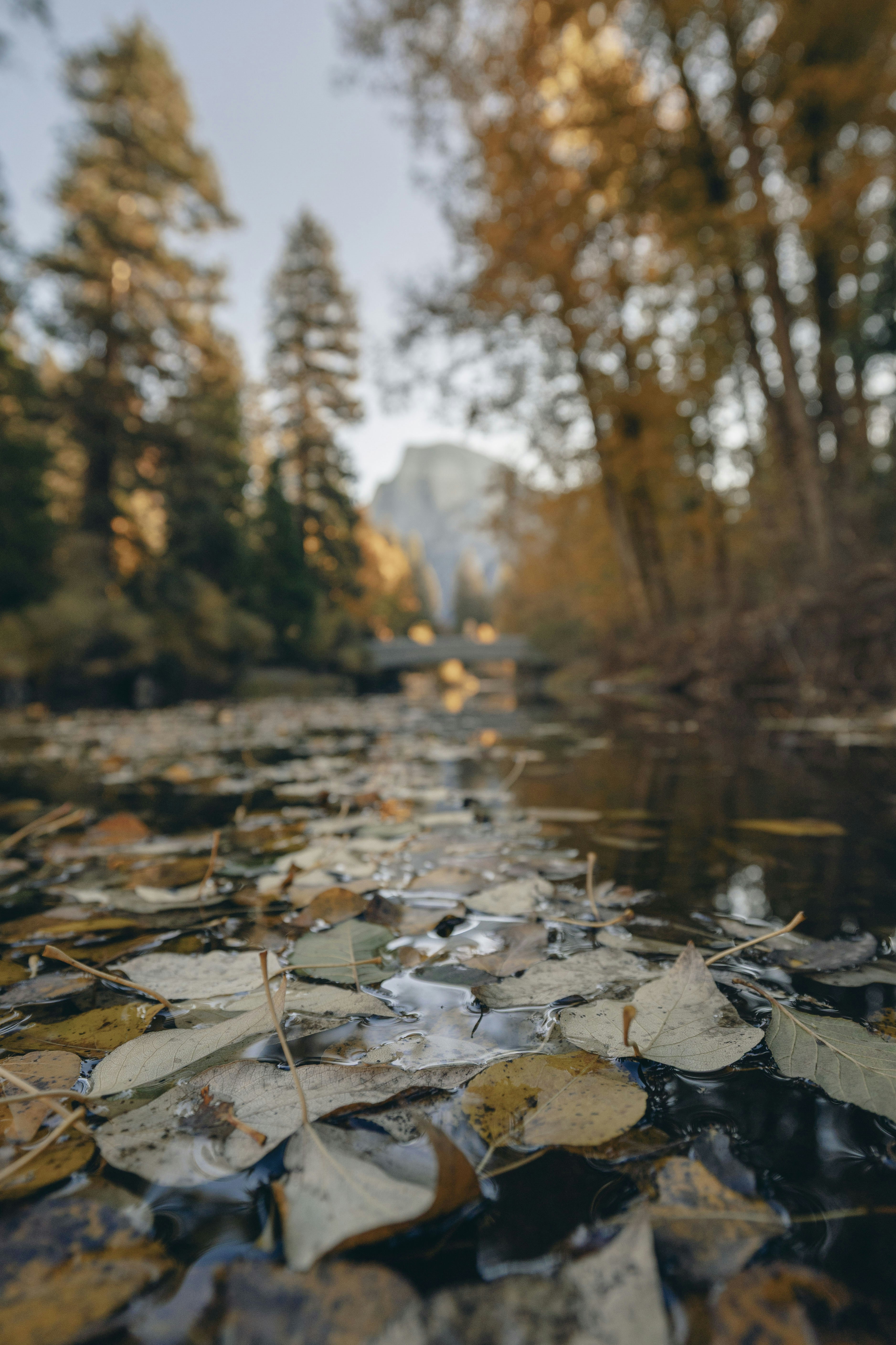 Photo by leo_visions_