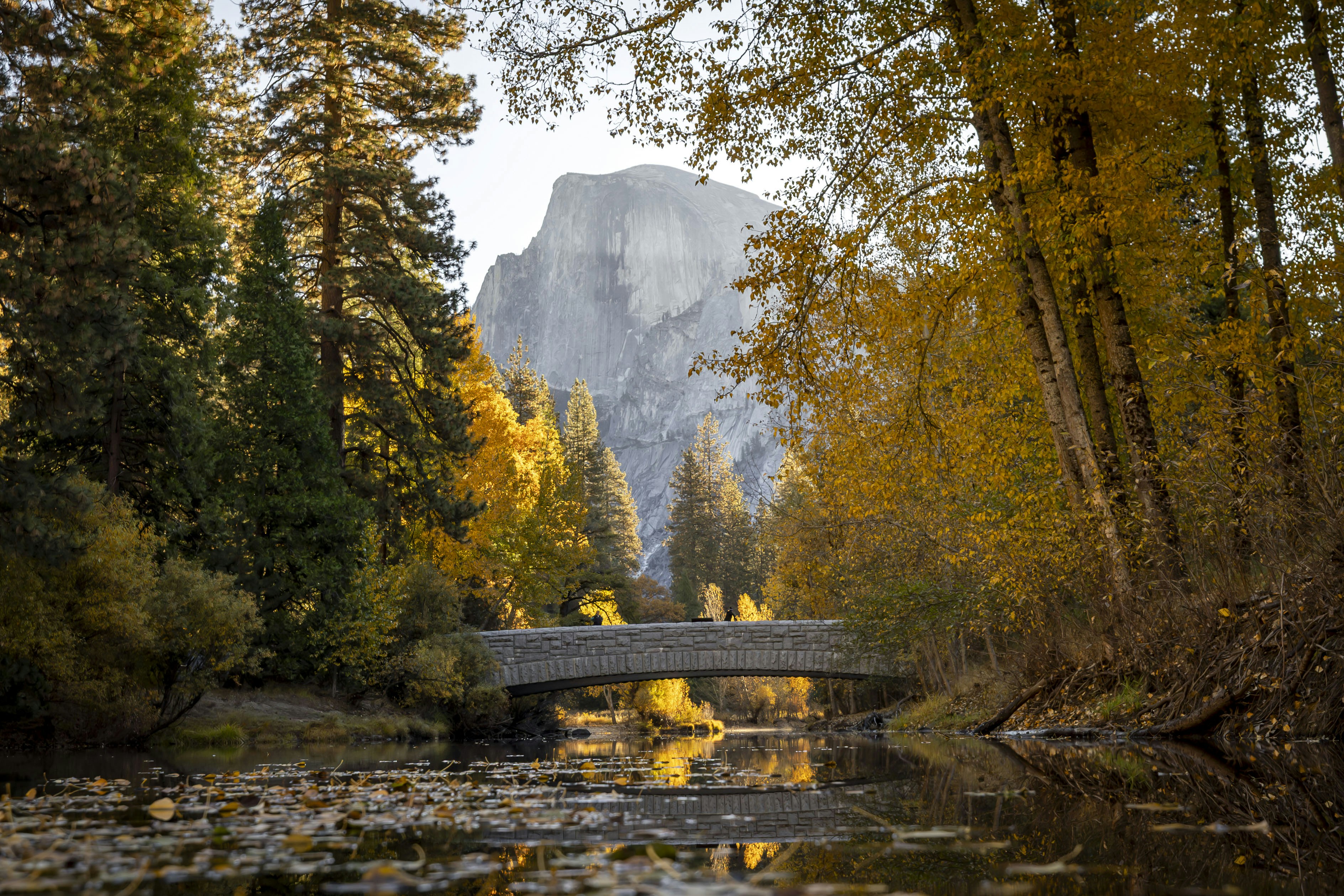 Photo by leo_visions_