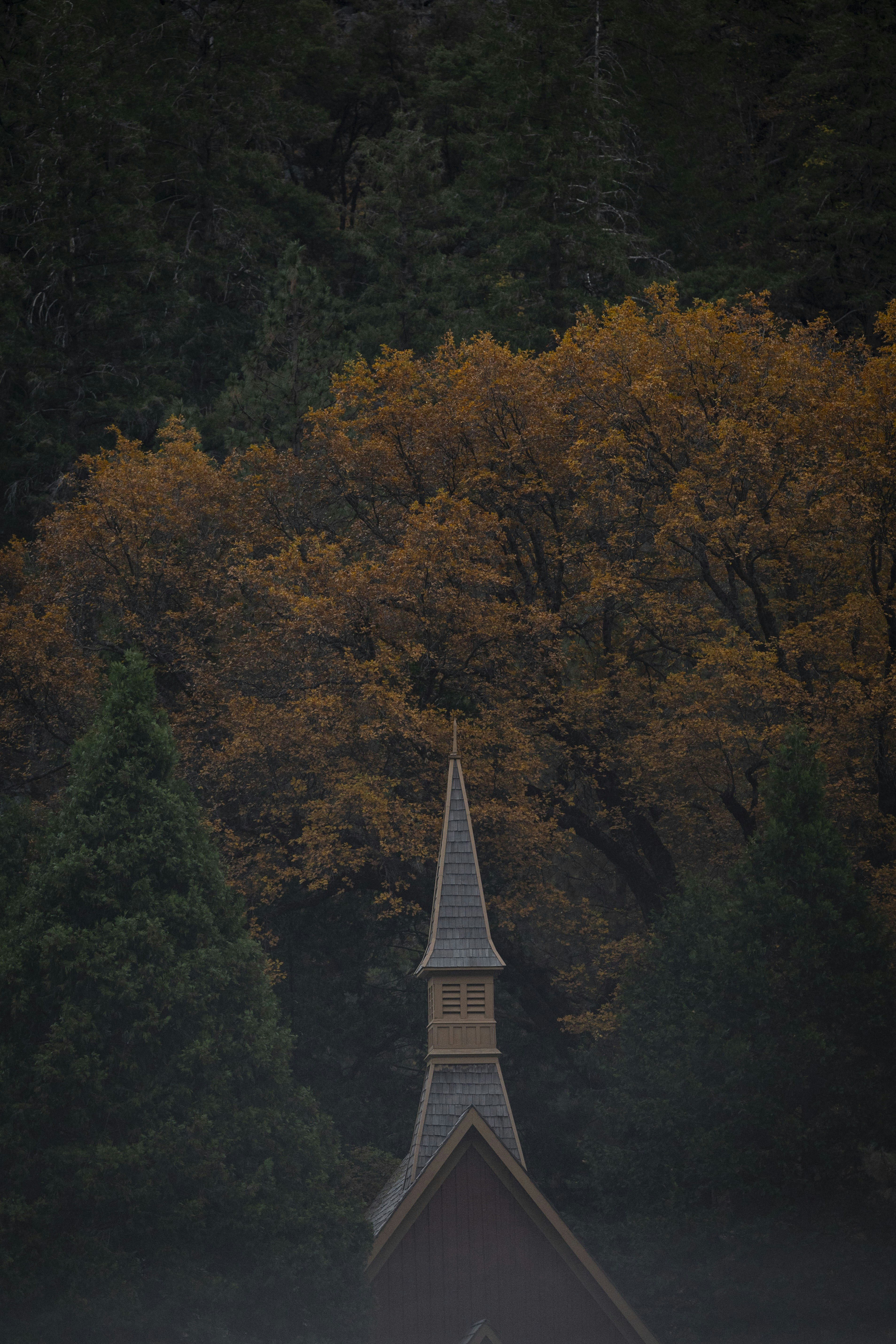 Church steeple nestled among autumn trees and evergreens.