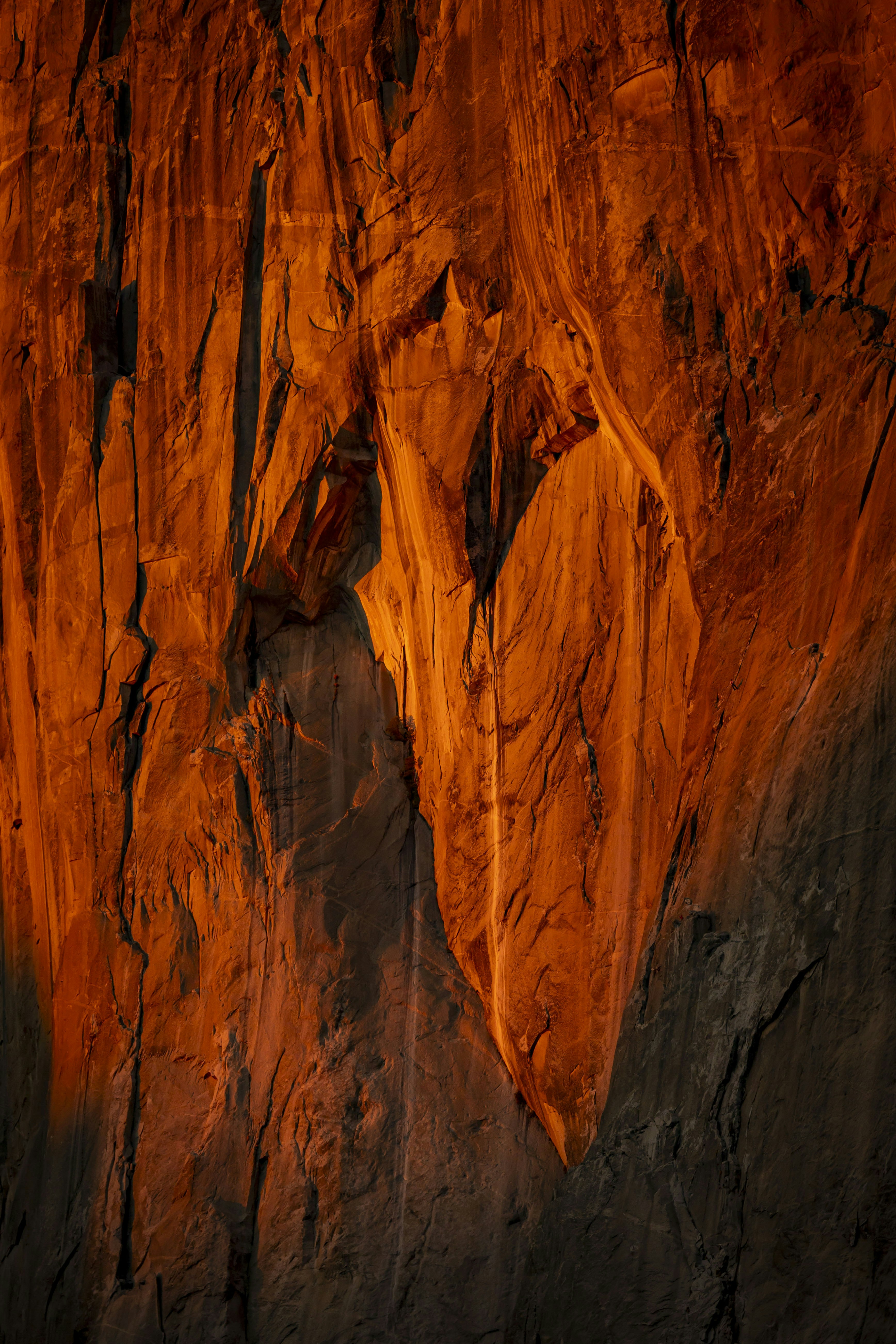 Photo by leo_visions_