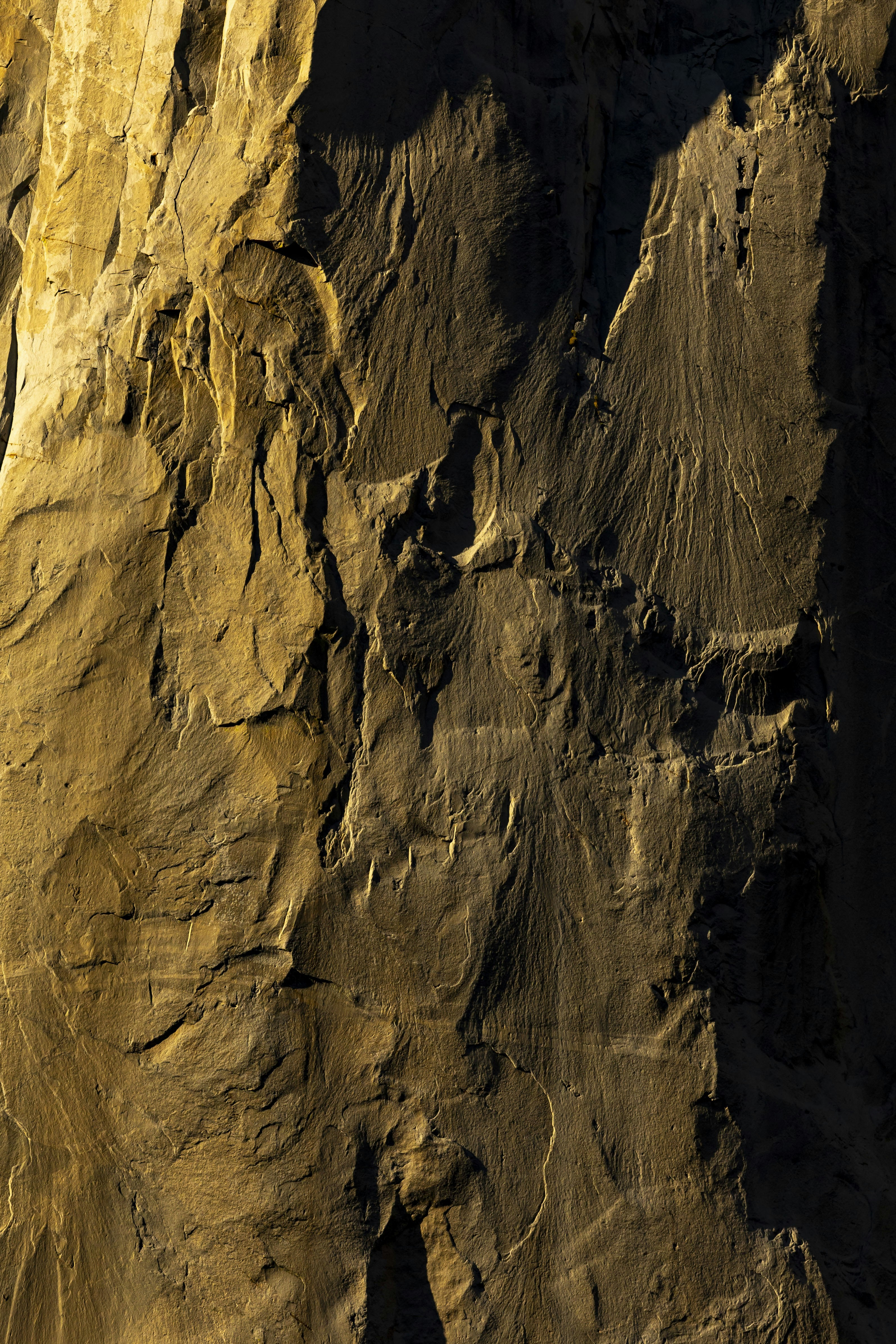 Photo by leo_visions_