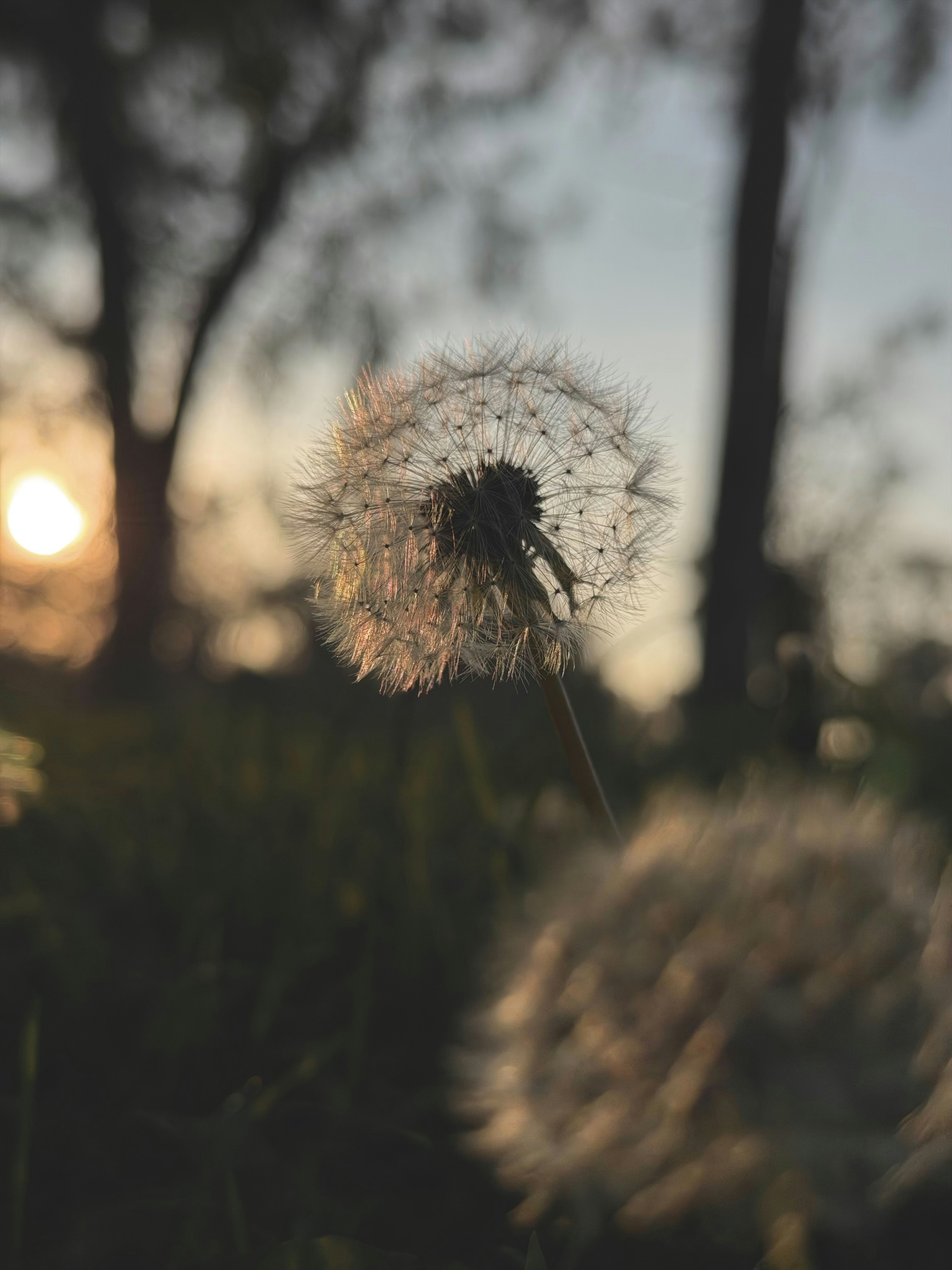 Photo by sammysays___