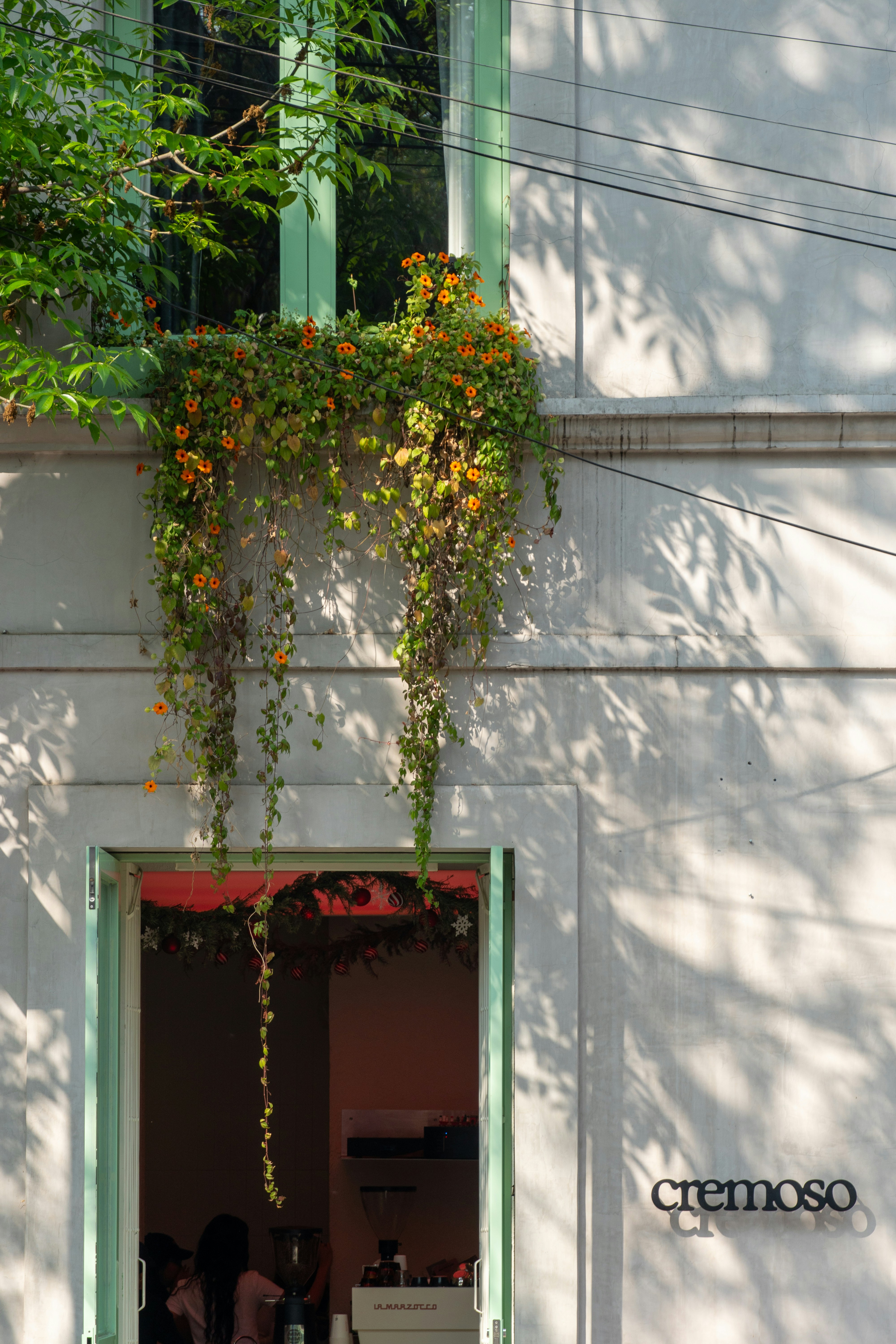 Green window with cascading orange flowers and vines.
