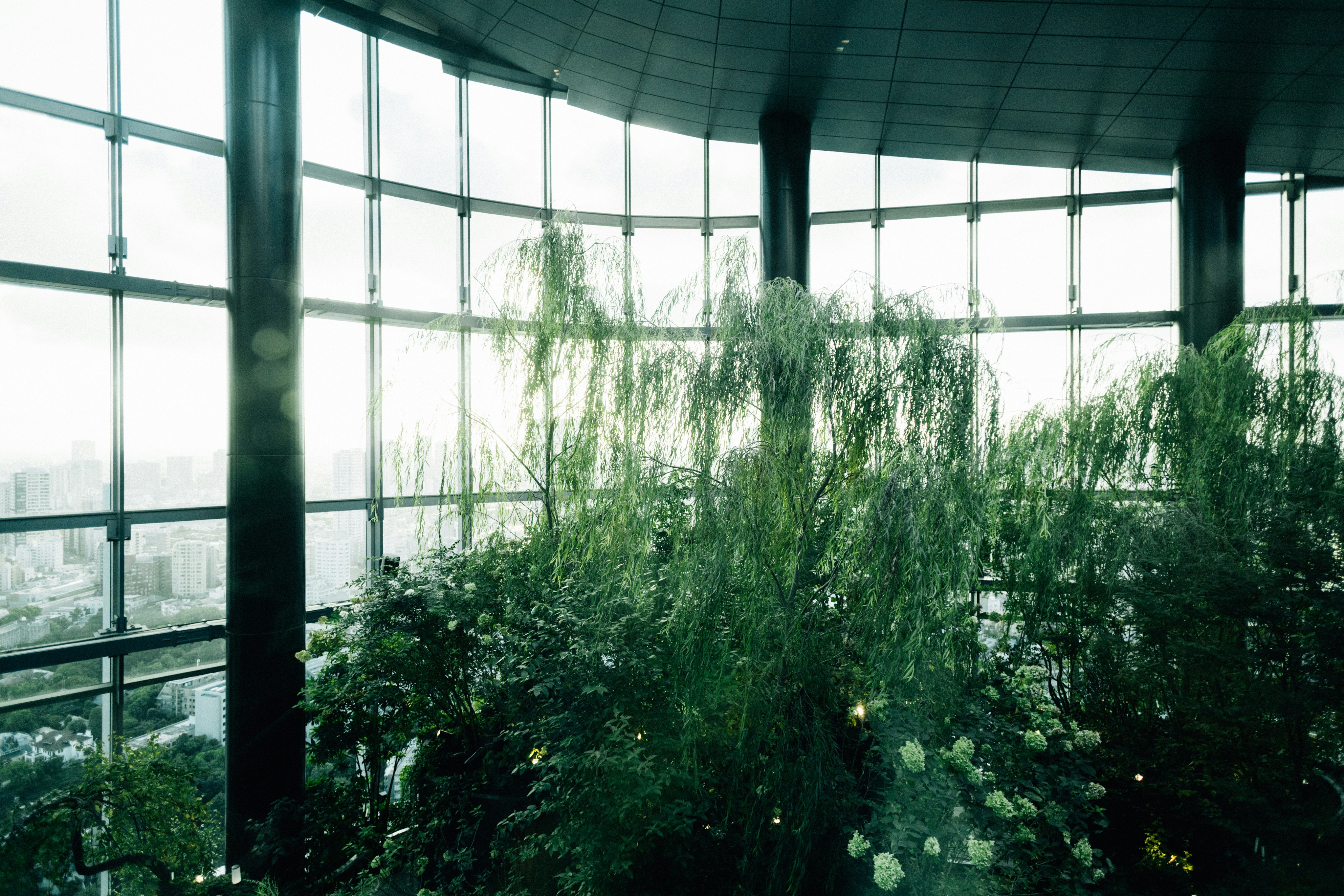 Photo by tsuyoshikozu