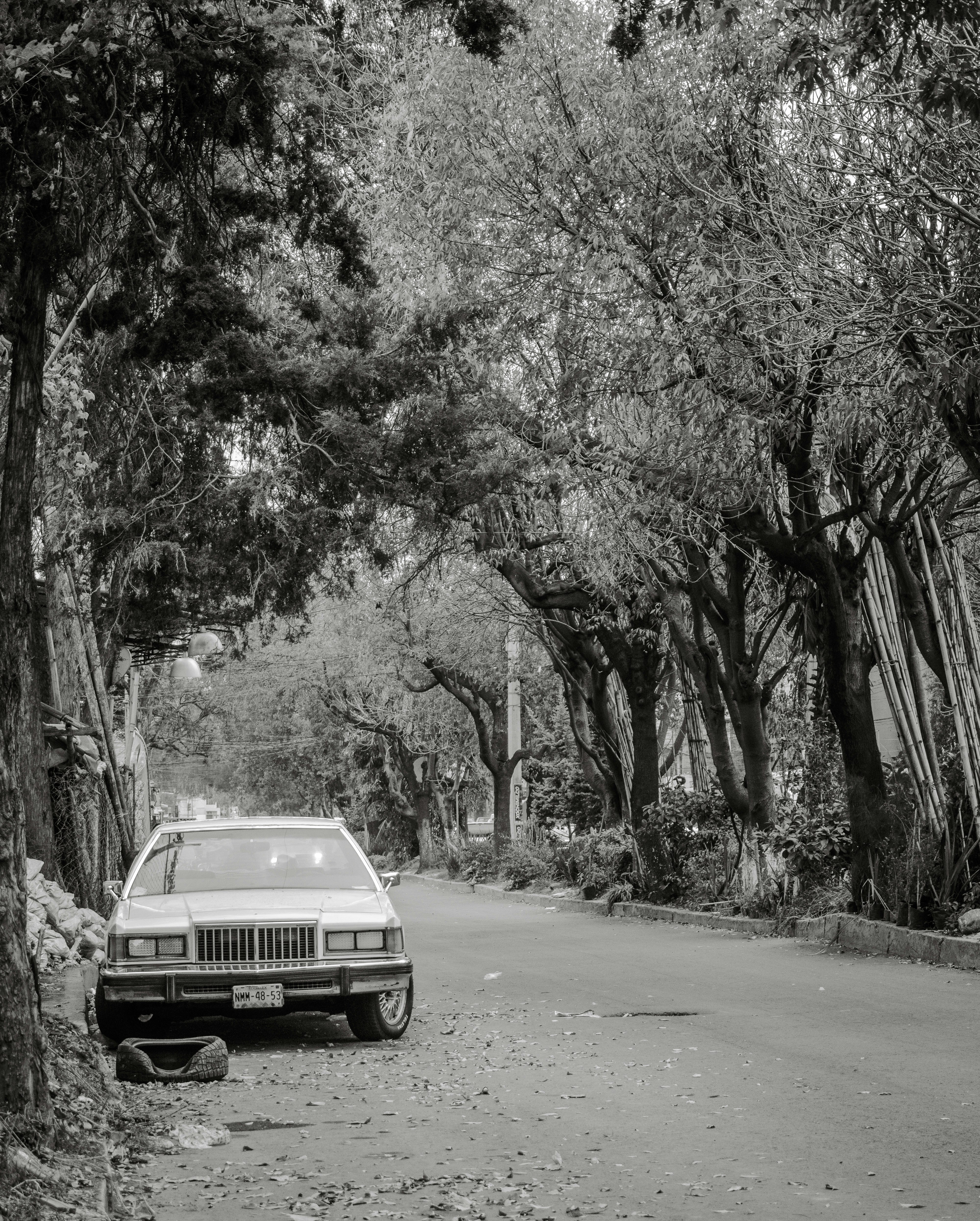 A vintage car parked on a tree-lined street.