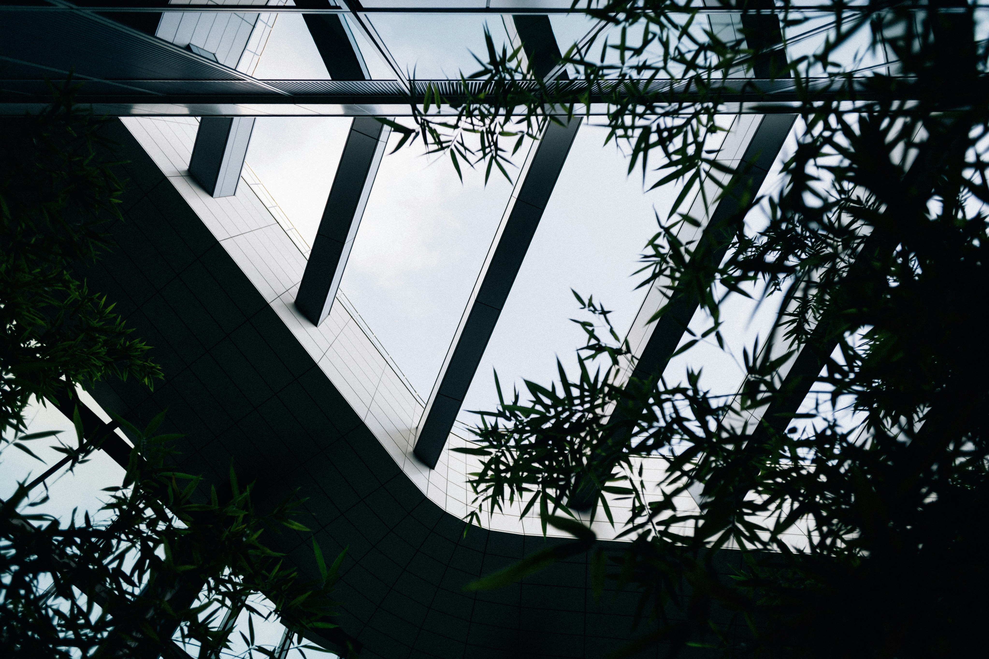 Photo by tsuyoshikozu