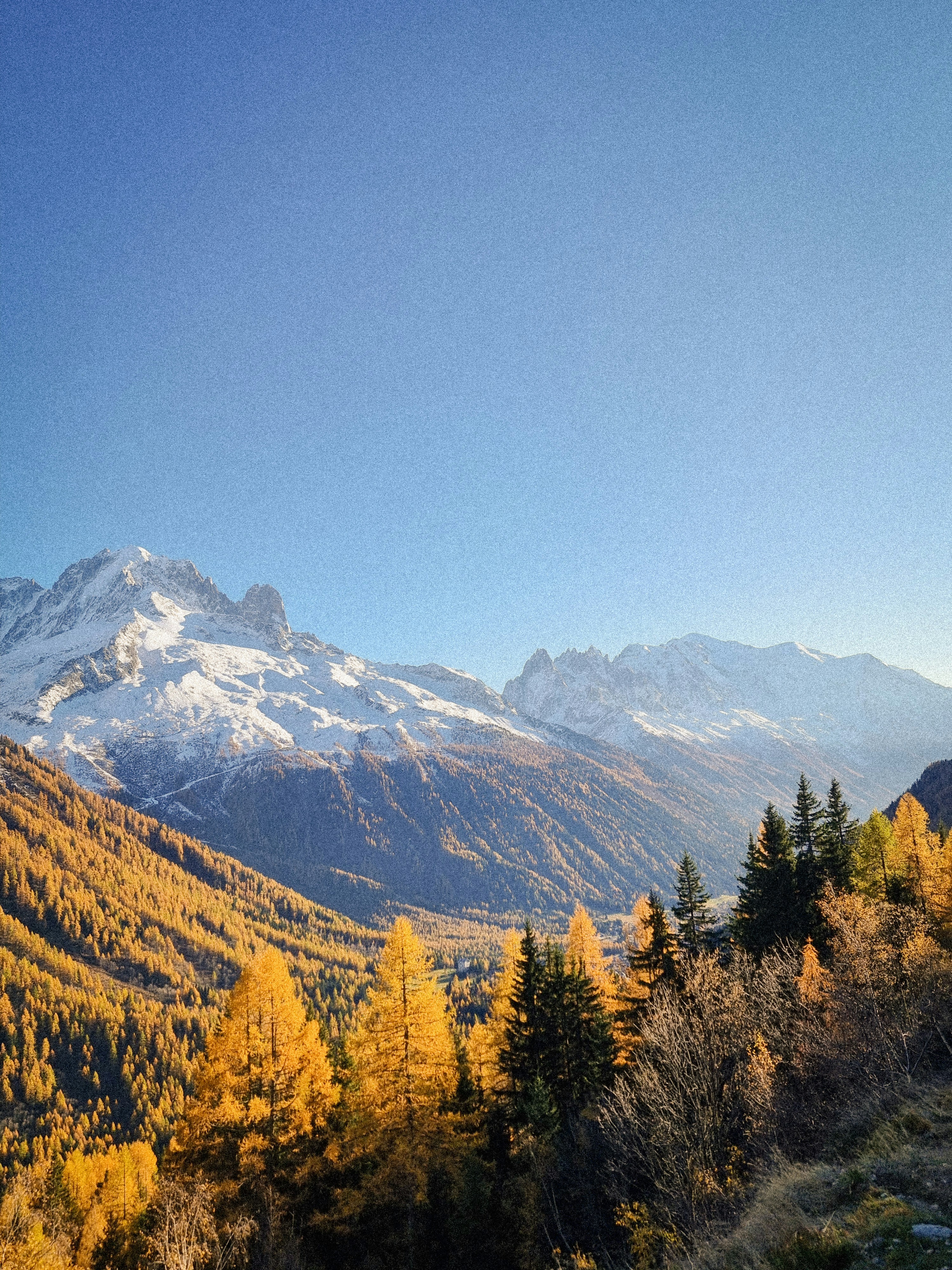 Photo by godefroyboutet