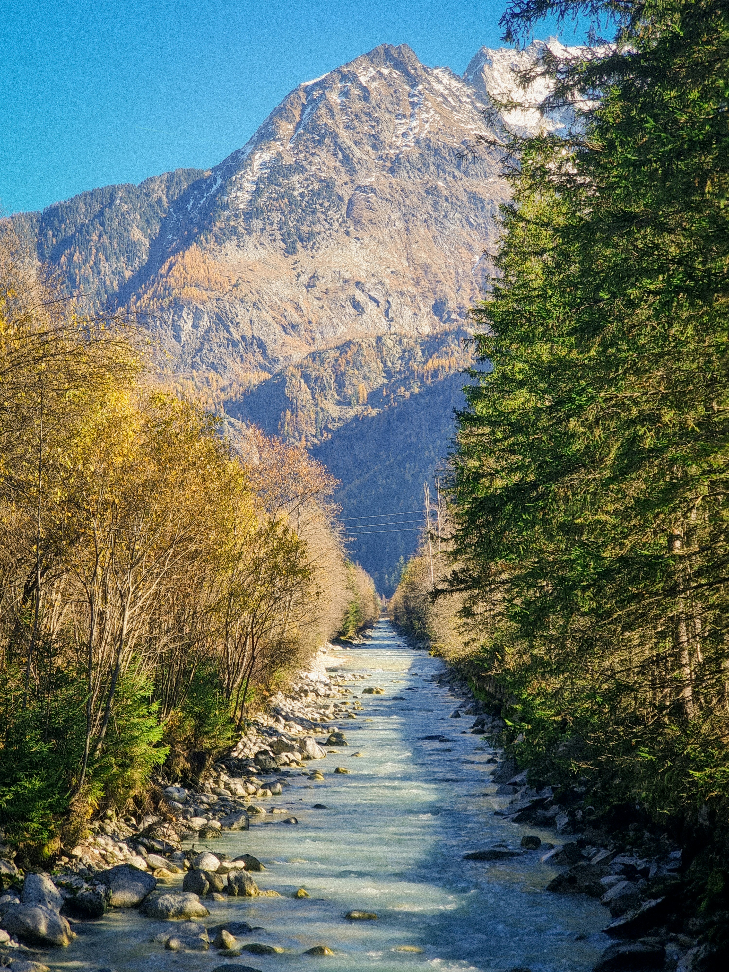 Mountain and forest with a river flowing through