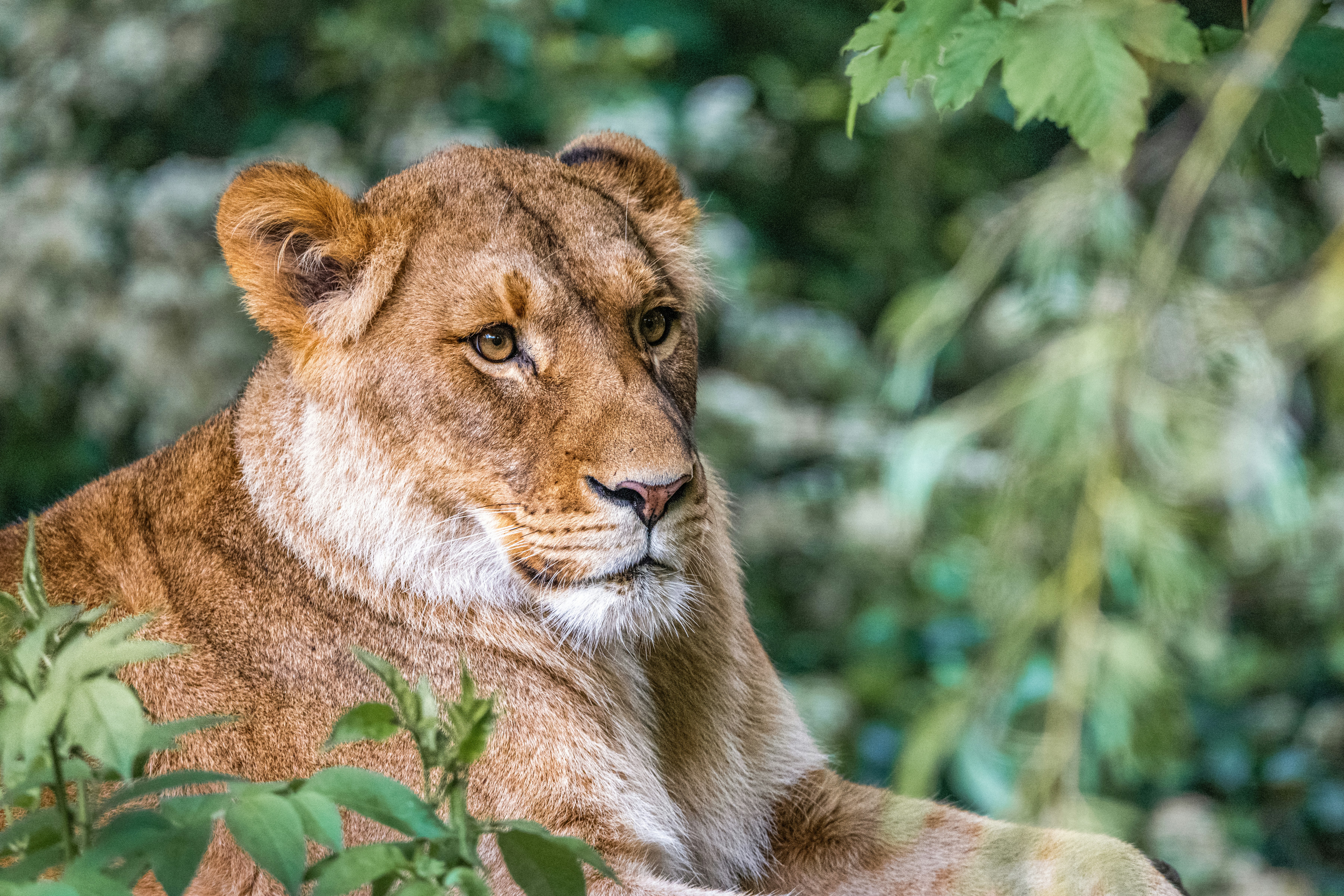 Photo by siegfriedpoepperl