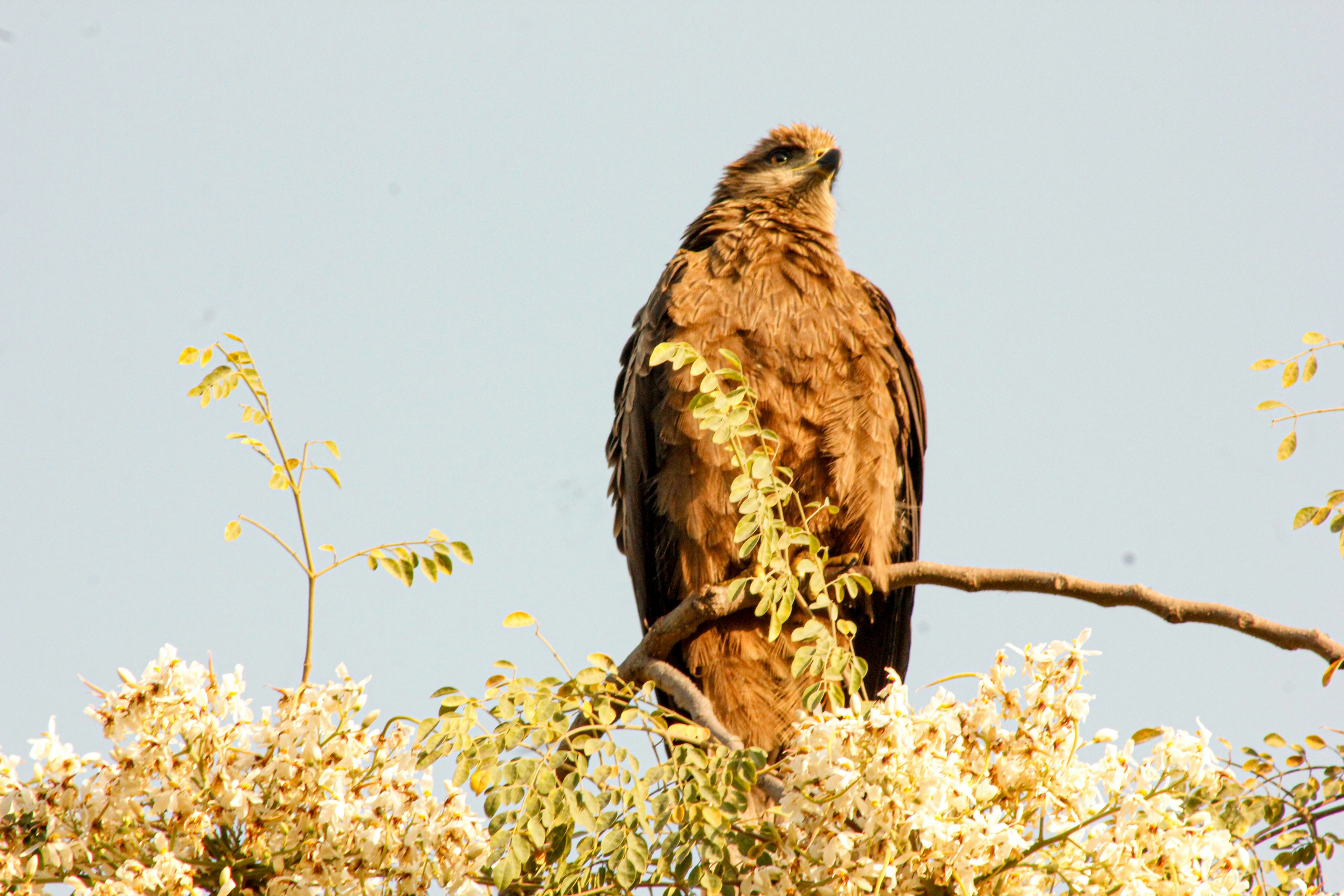 Photo by varunnmehra