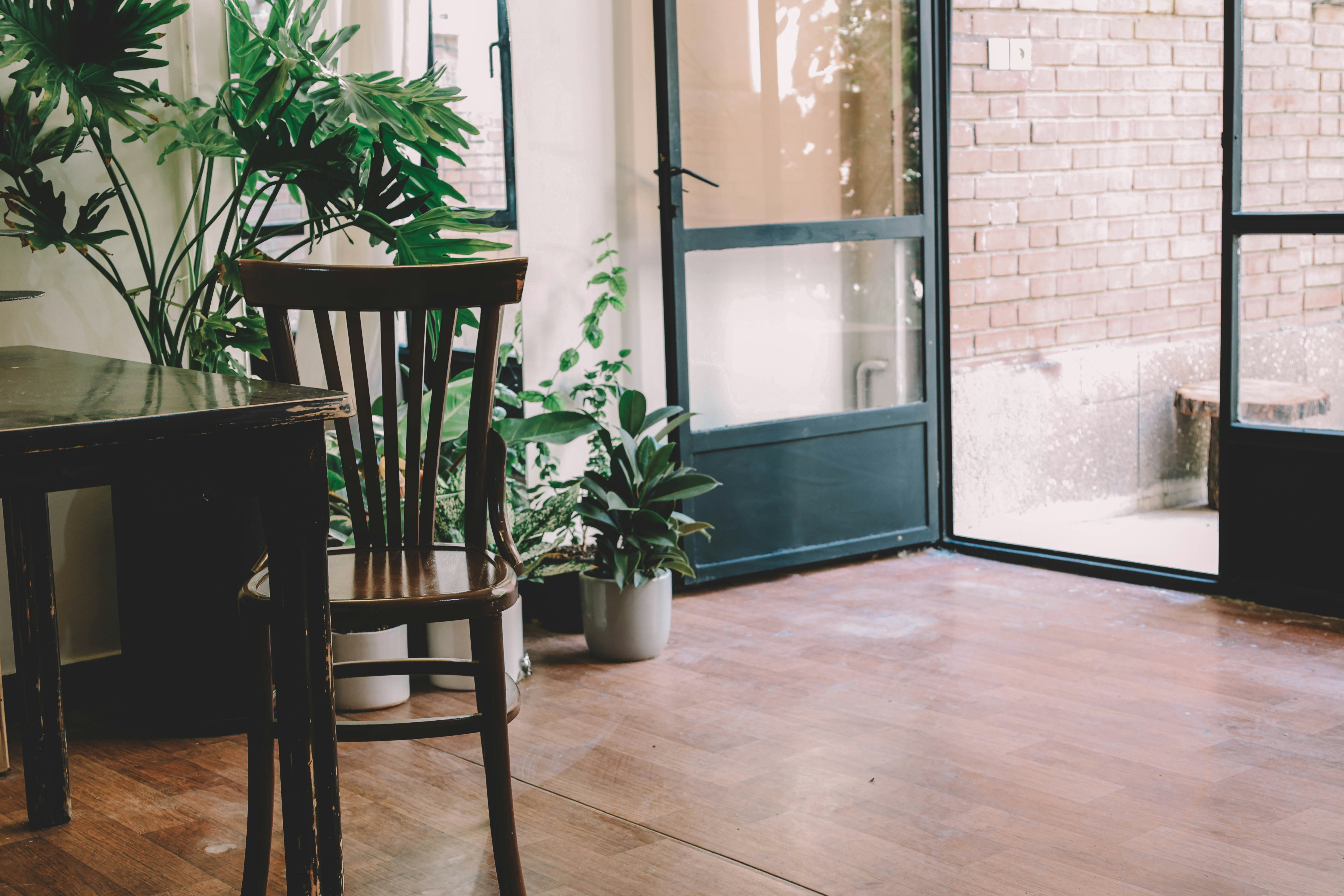 Photo by rominahmadpour