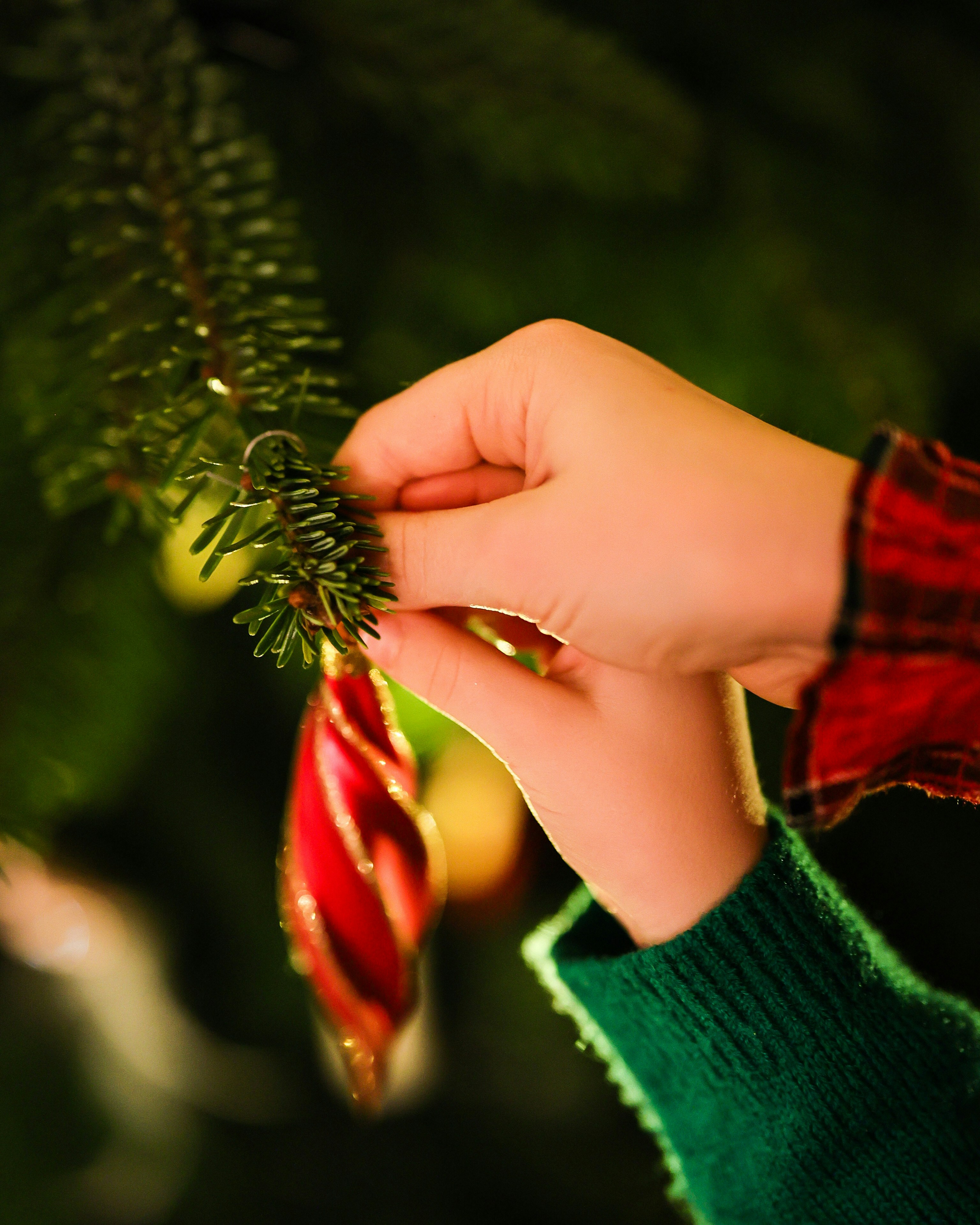 Hands decorating a christmas tree with ornaments