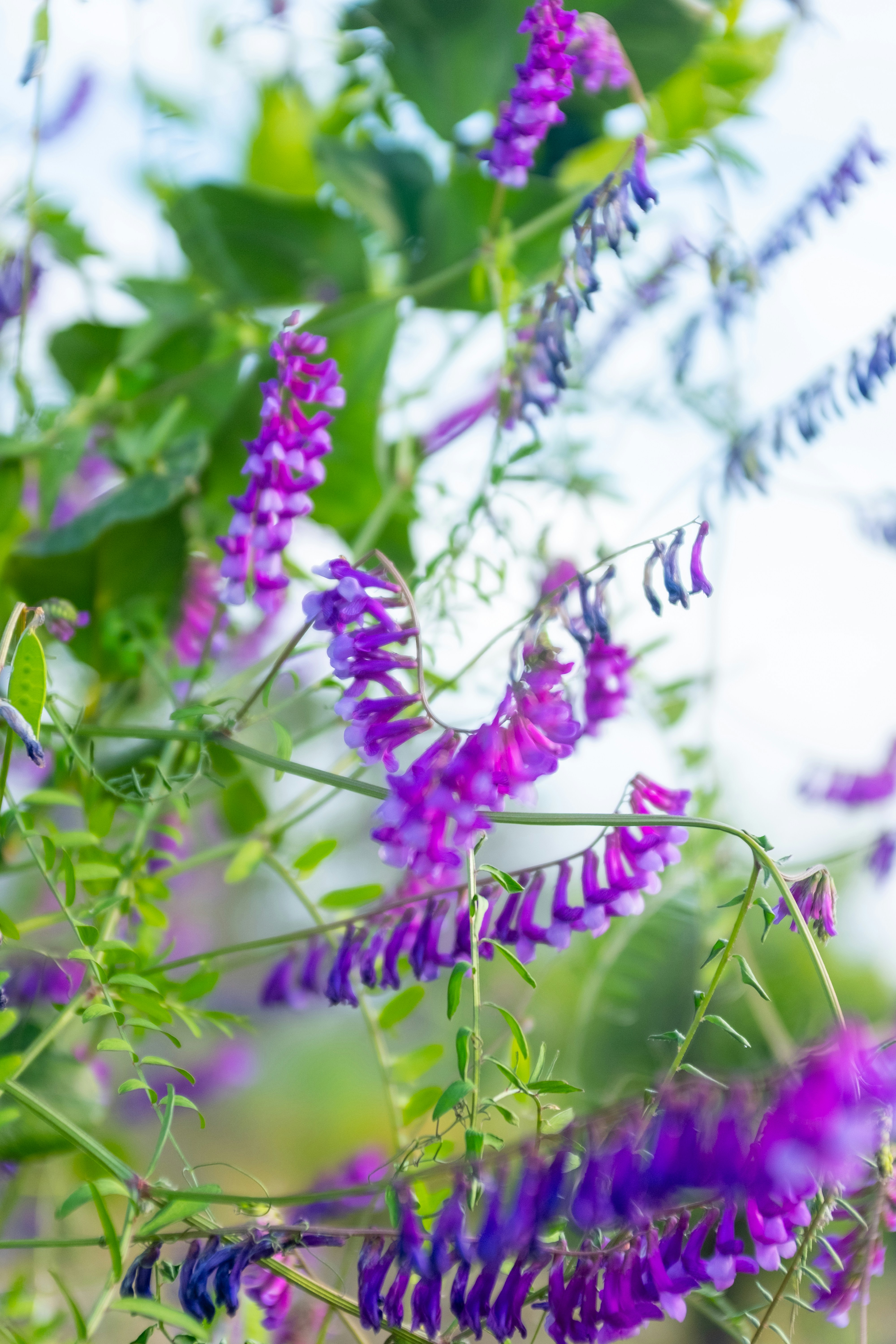 Photo by bernardhermant