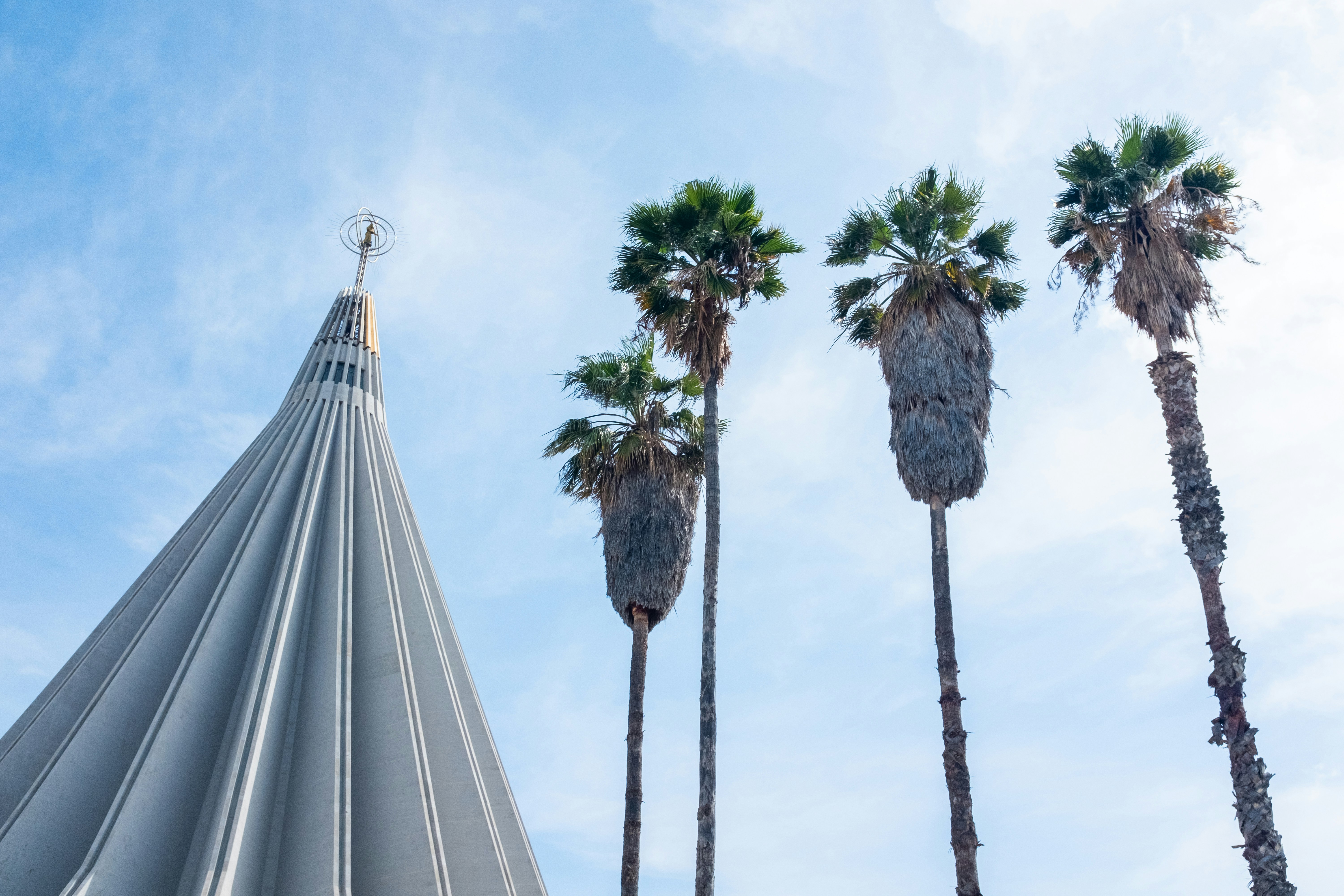 Modern building with palm trees against blue sky