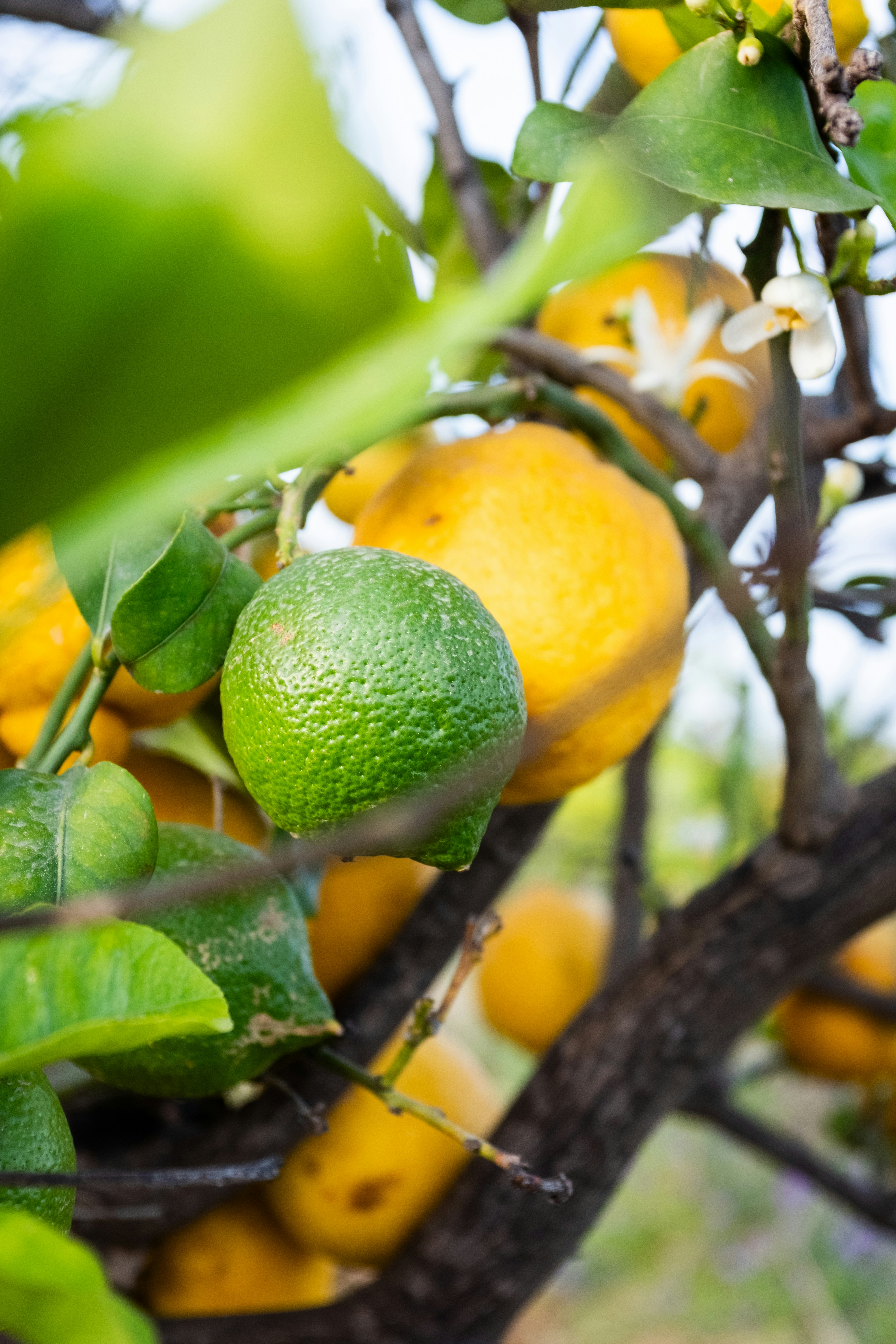 Photo by bernardhermant