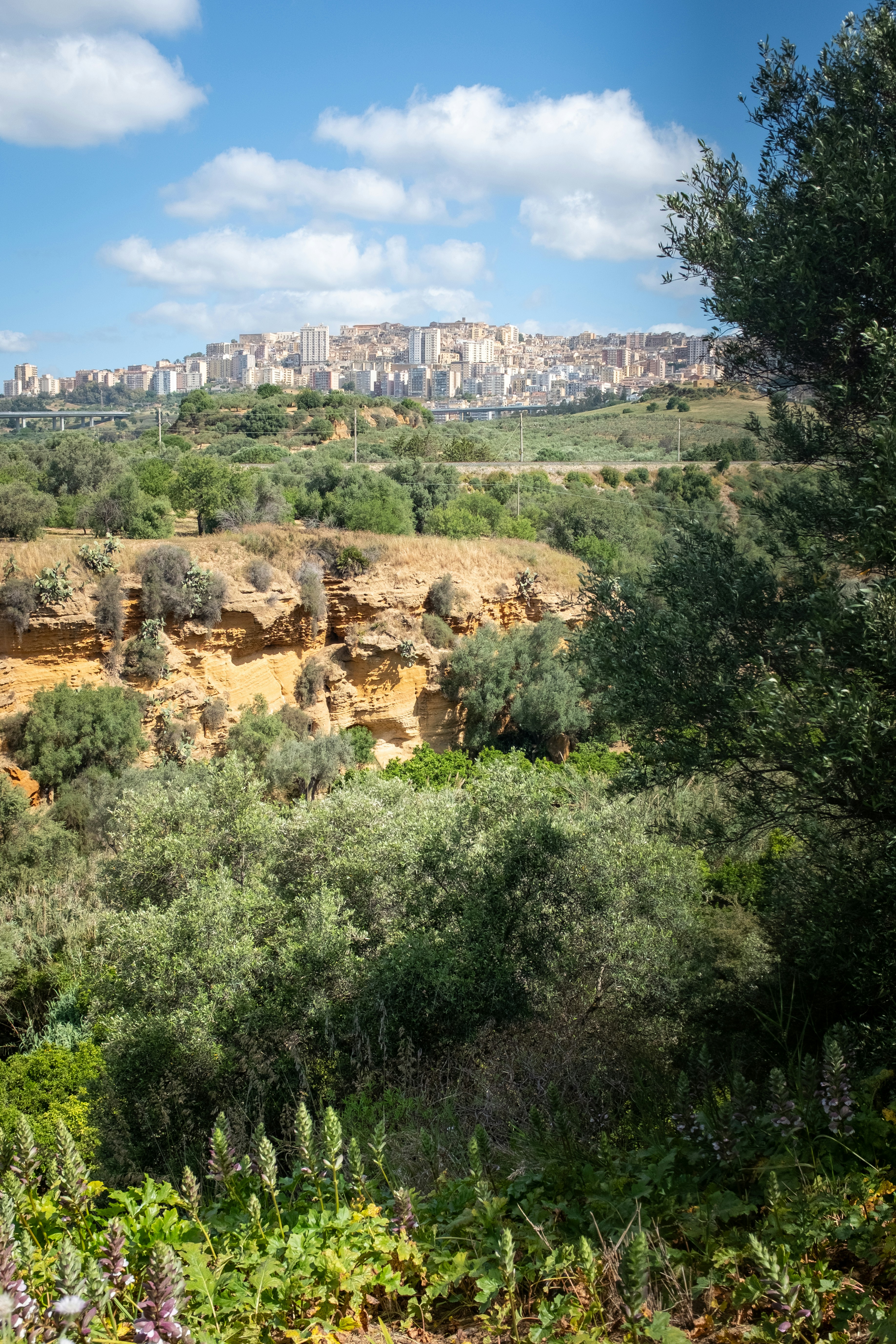 Green trees and rocky hills with city in background