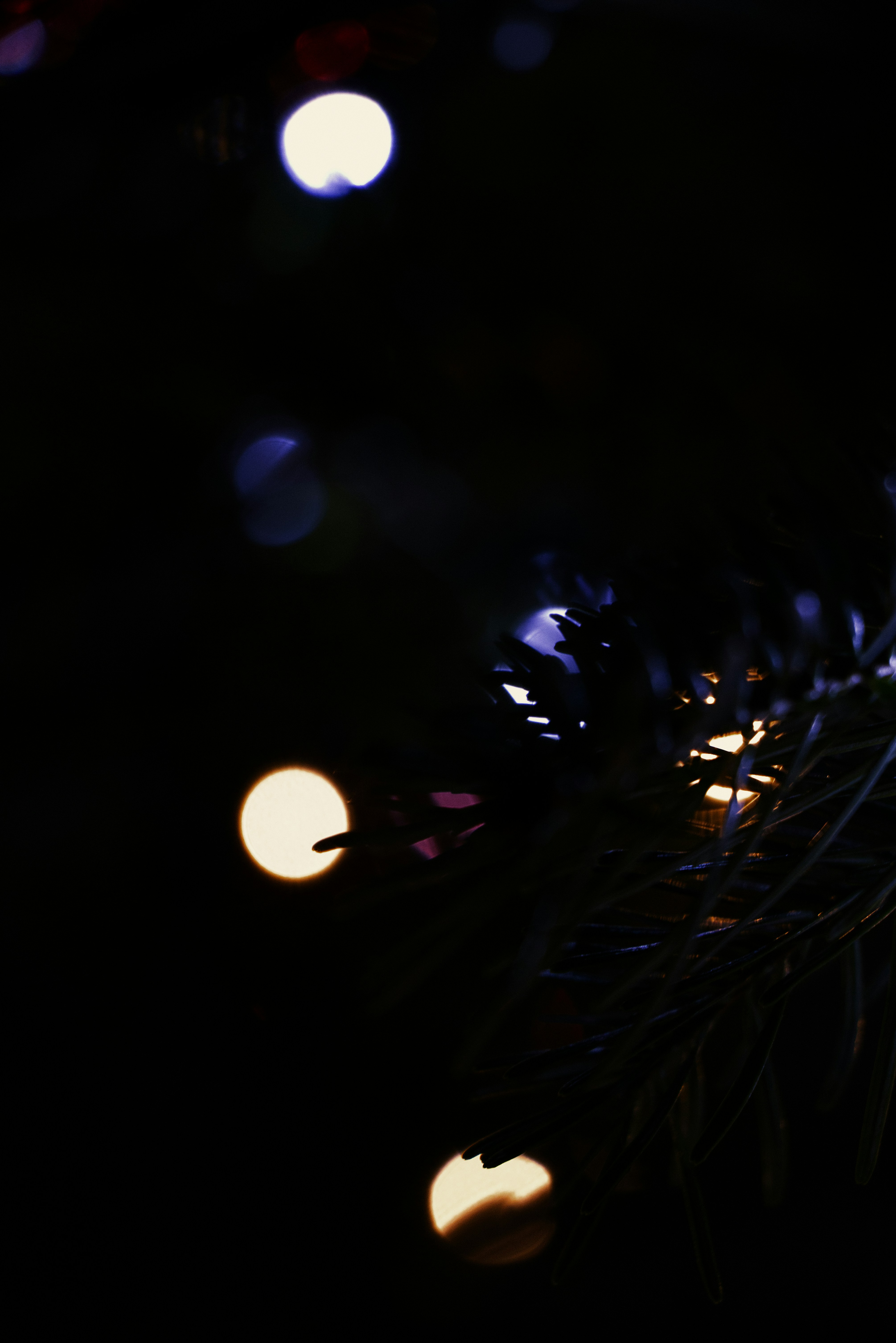 Photo by softlyglimmer