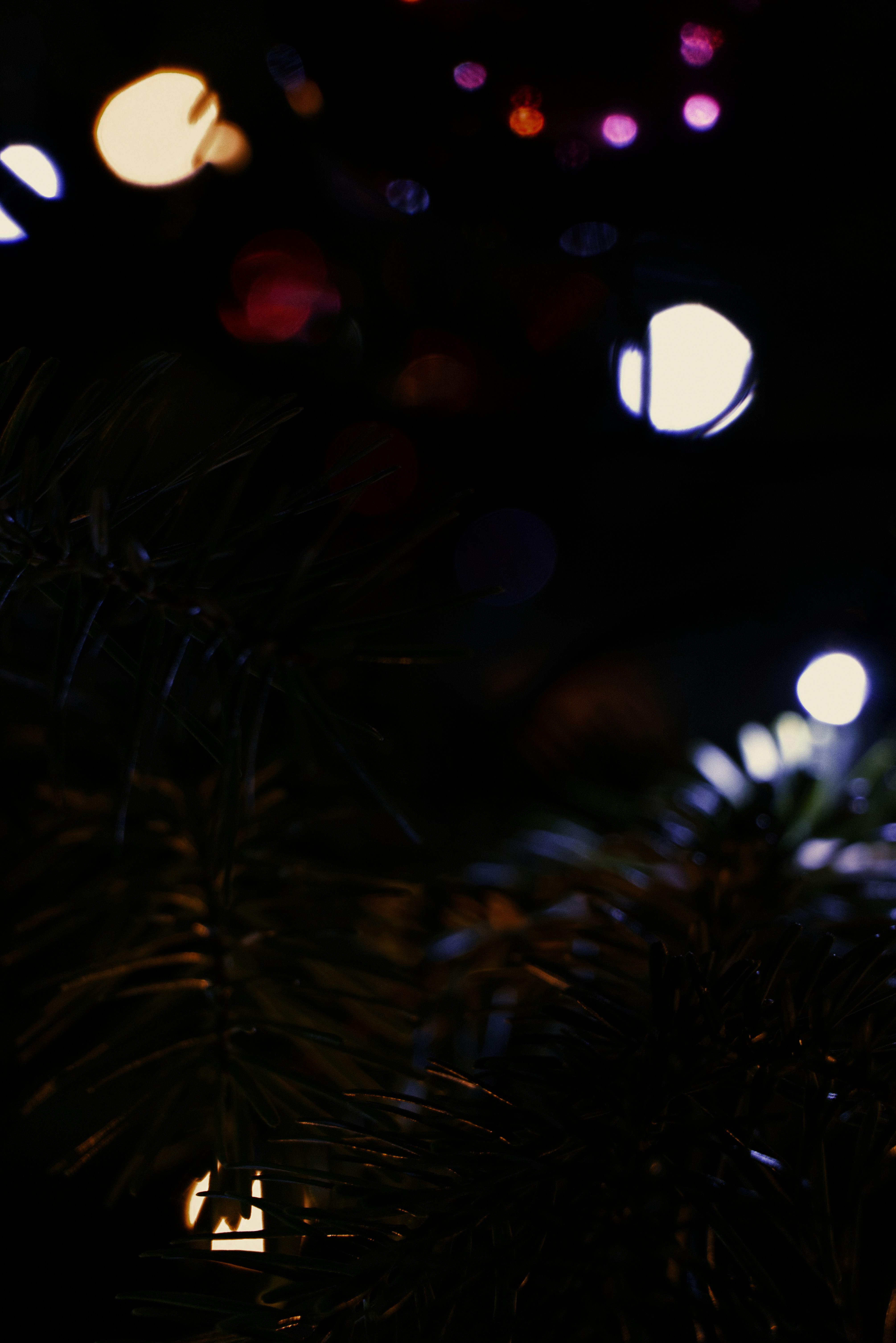 Photo by softlyglimmer