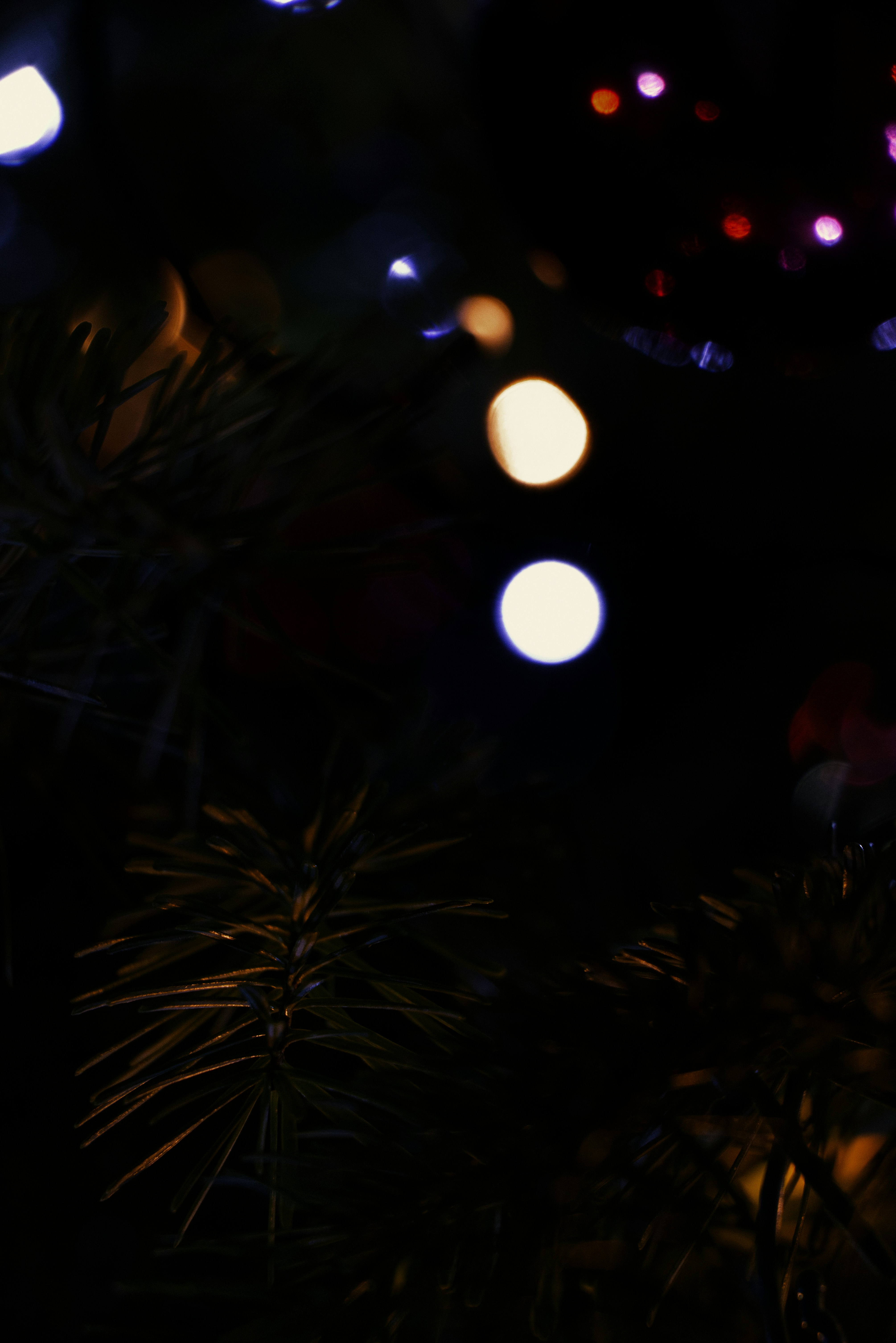 Photo by softlyglimmer