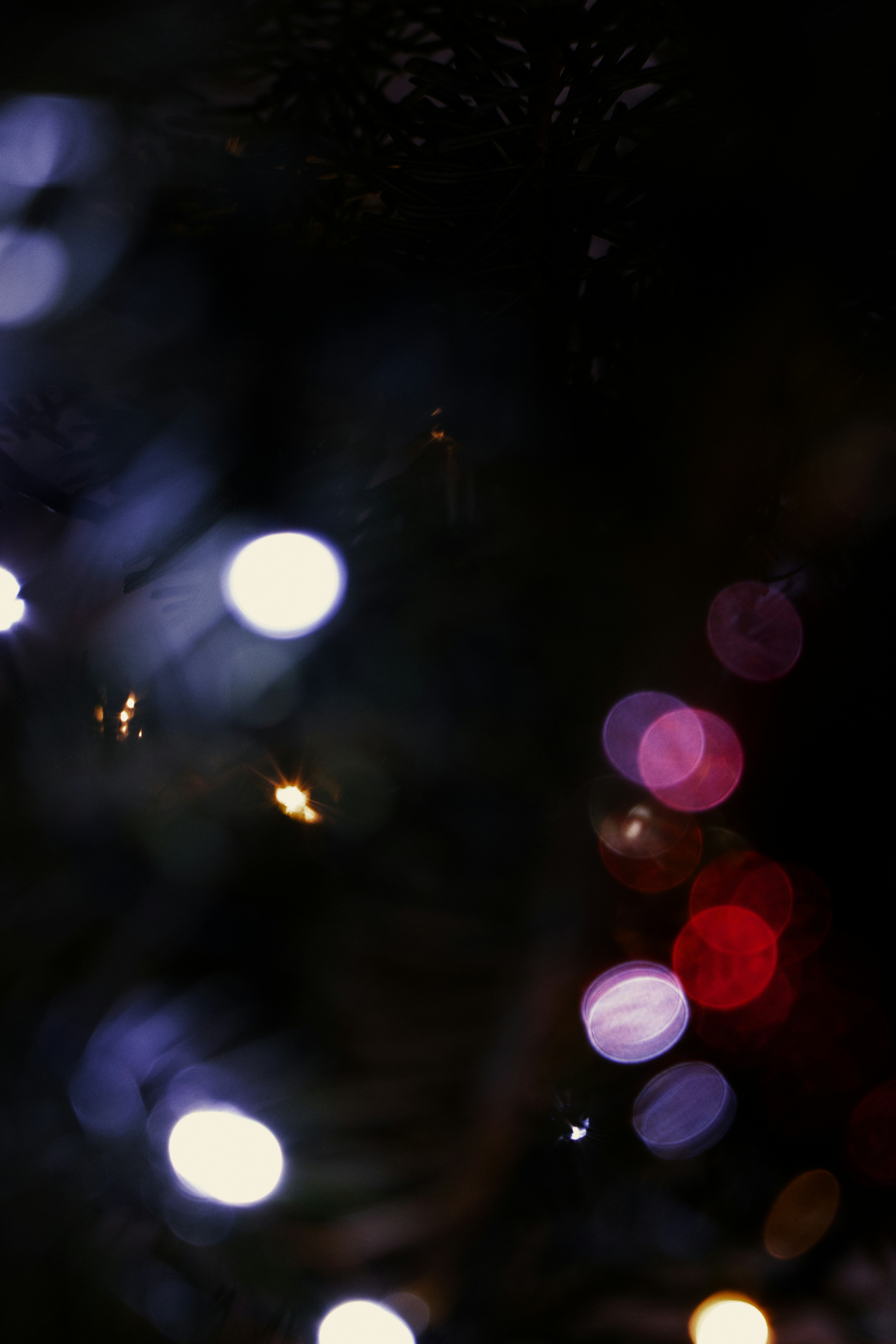 Photo by softlyglimmer