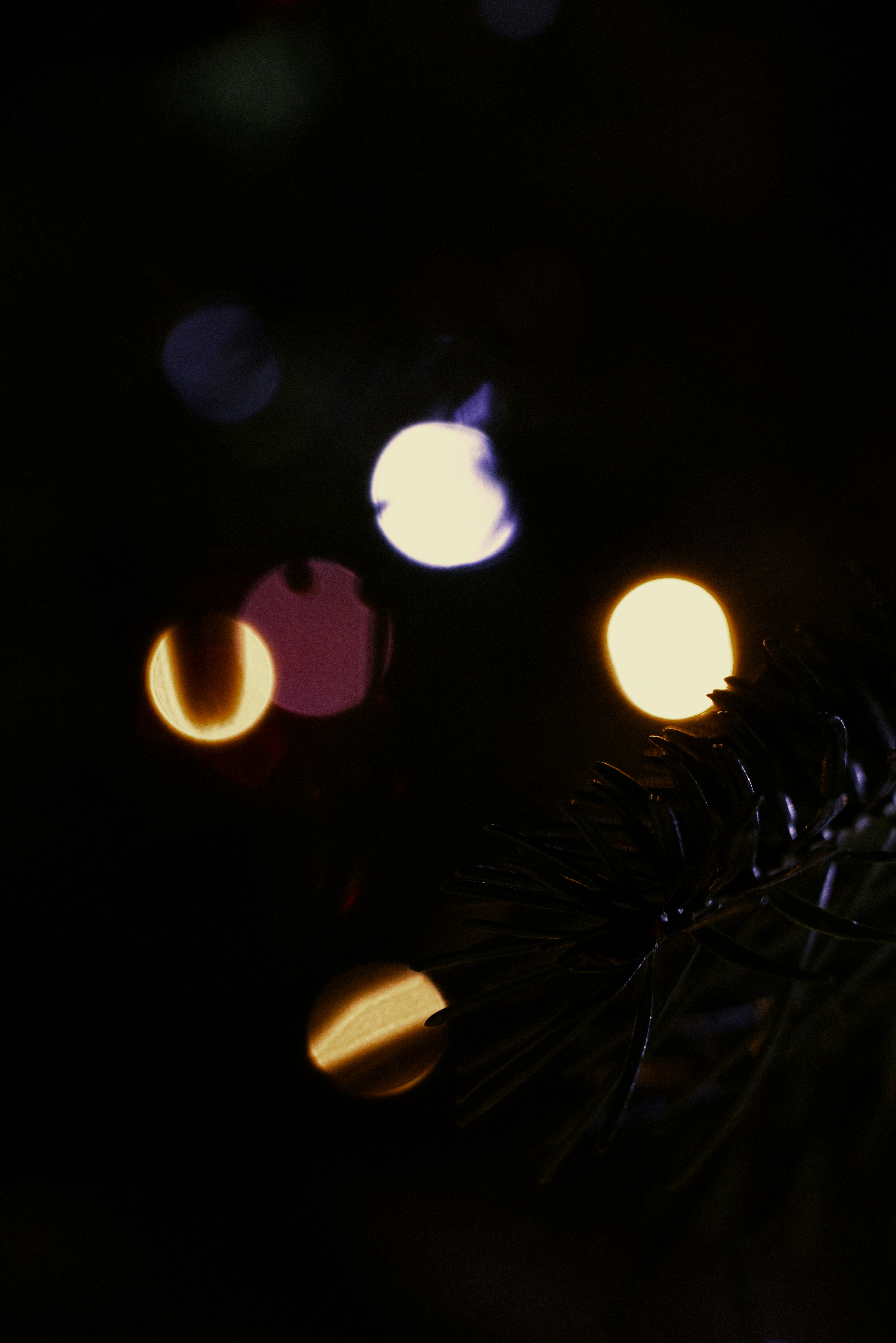 Photo by softlyglimmer