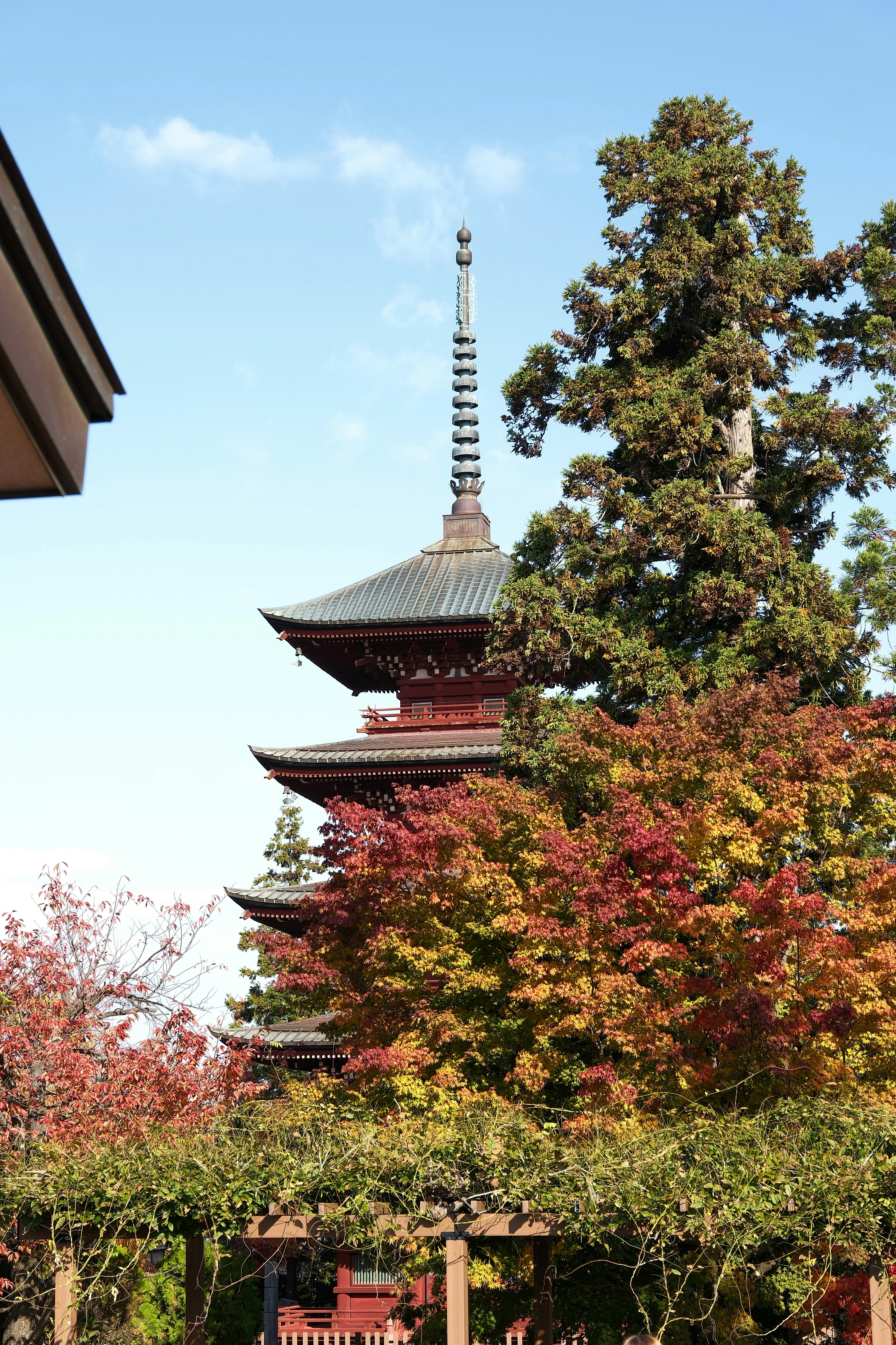 Pagoda surrounded by autumn trees and foliage