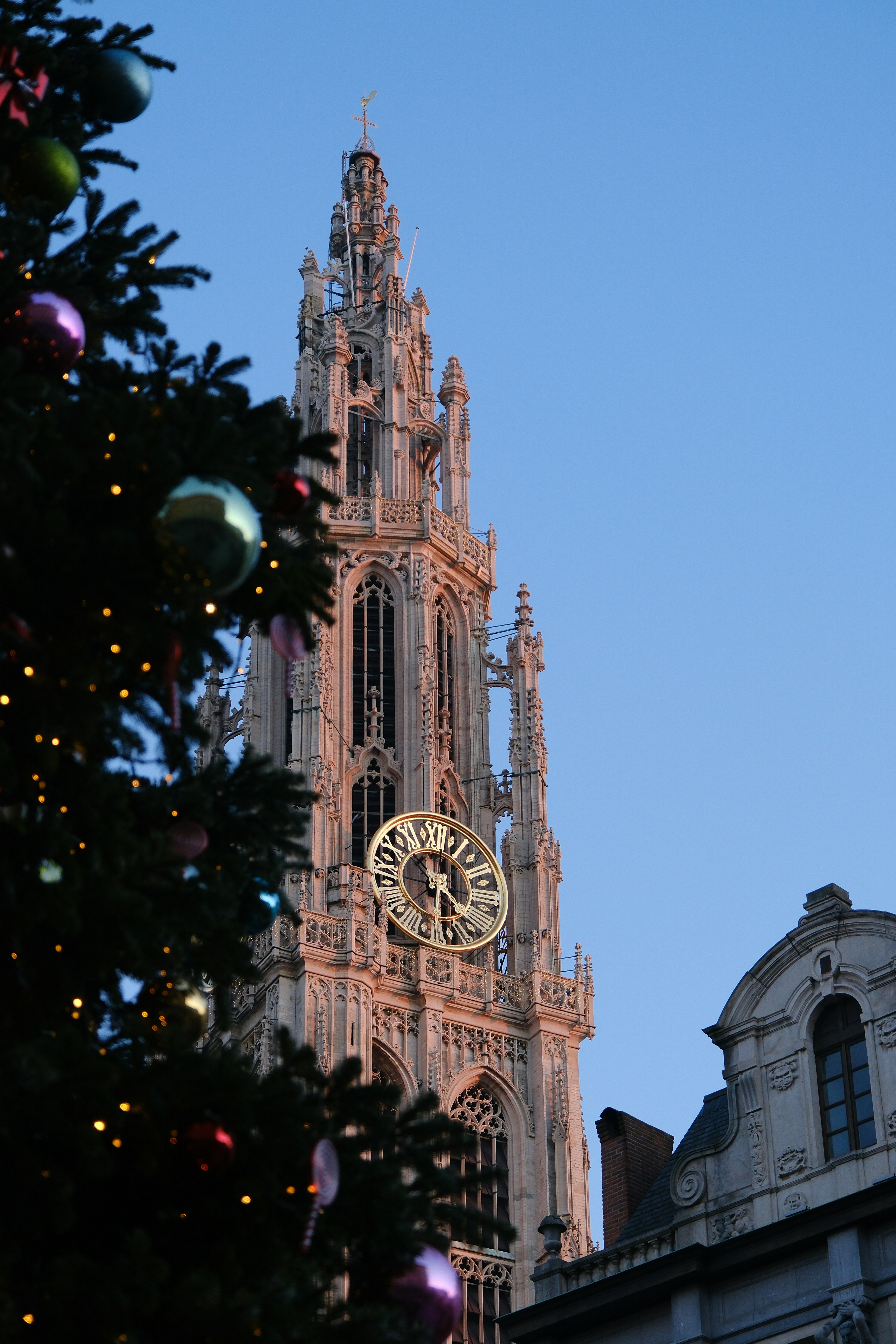 Christmas tree in front of a cathedral tower
