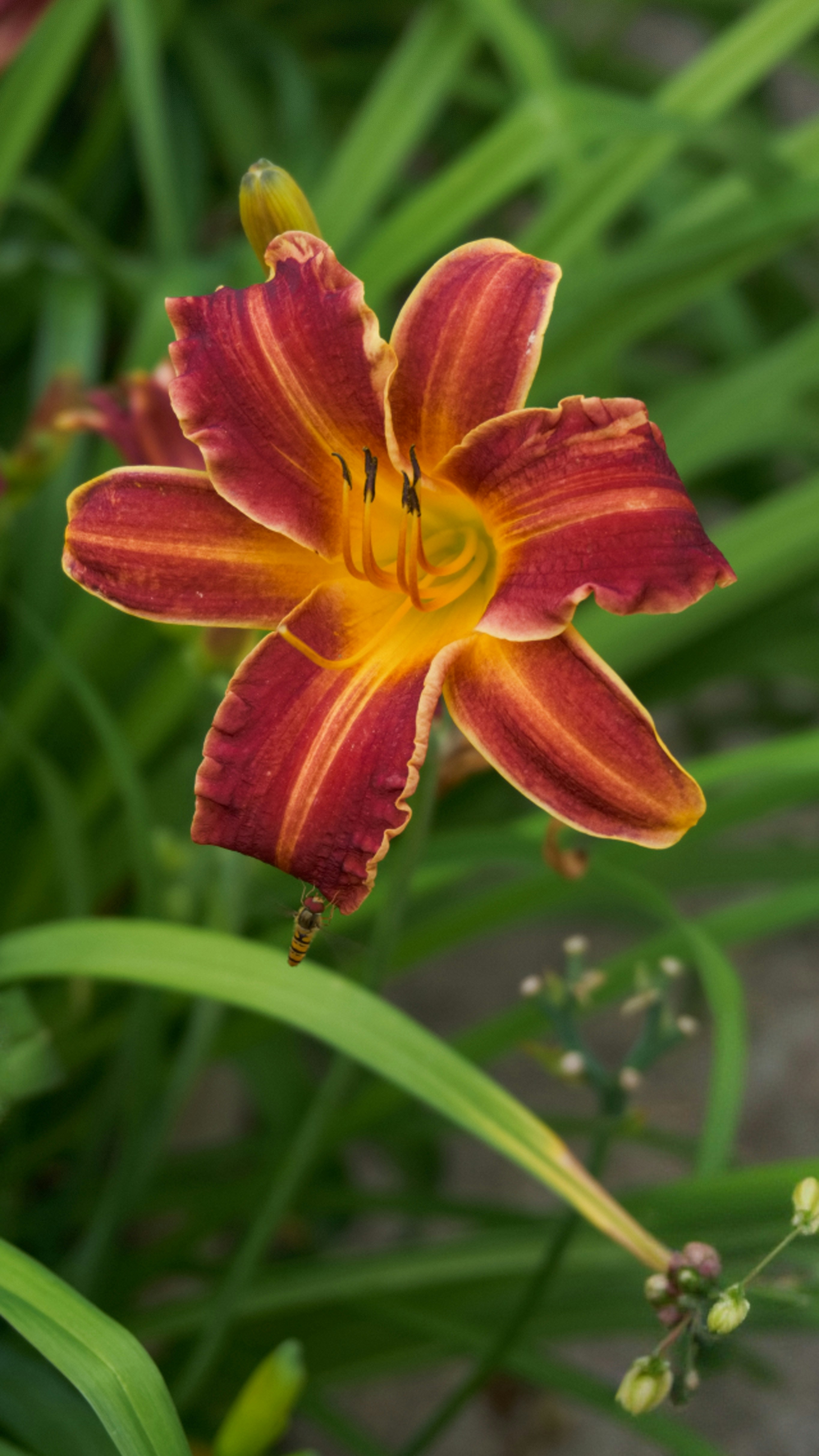 Photo by xd_studio_creation