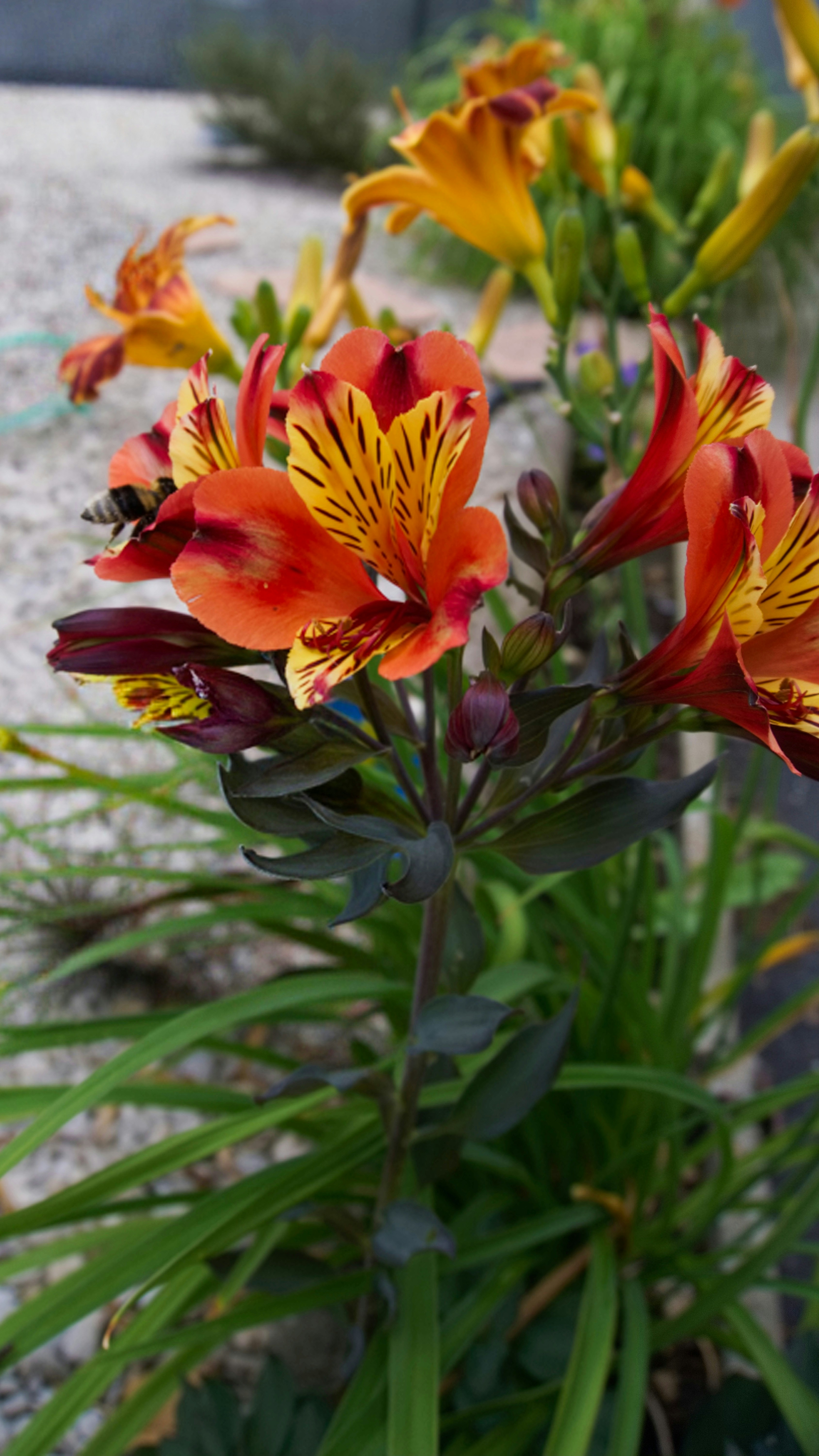 Photo by xd_studio_creation