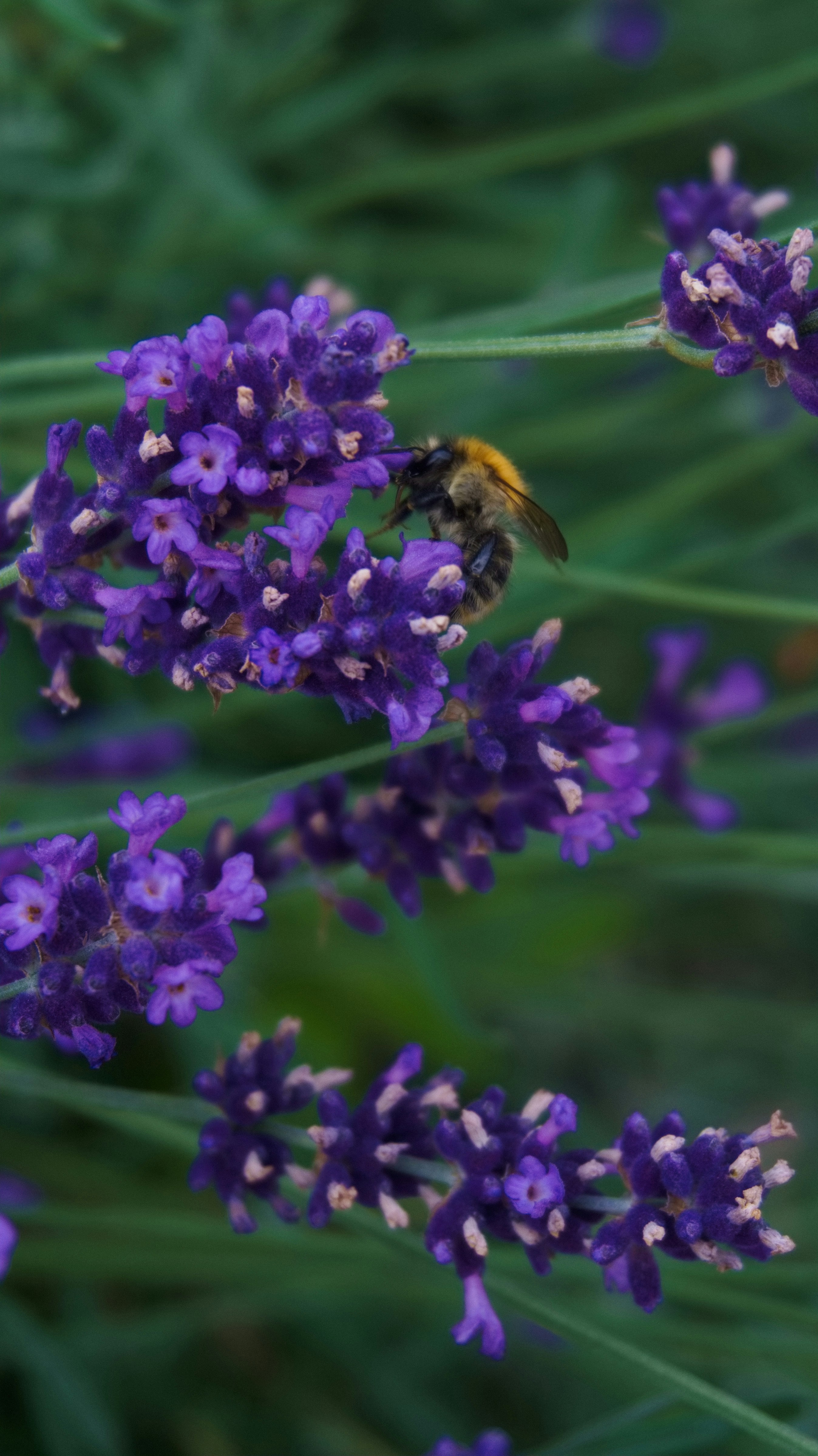 Photo by xd_studio_creation