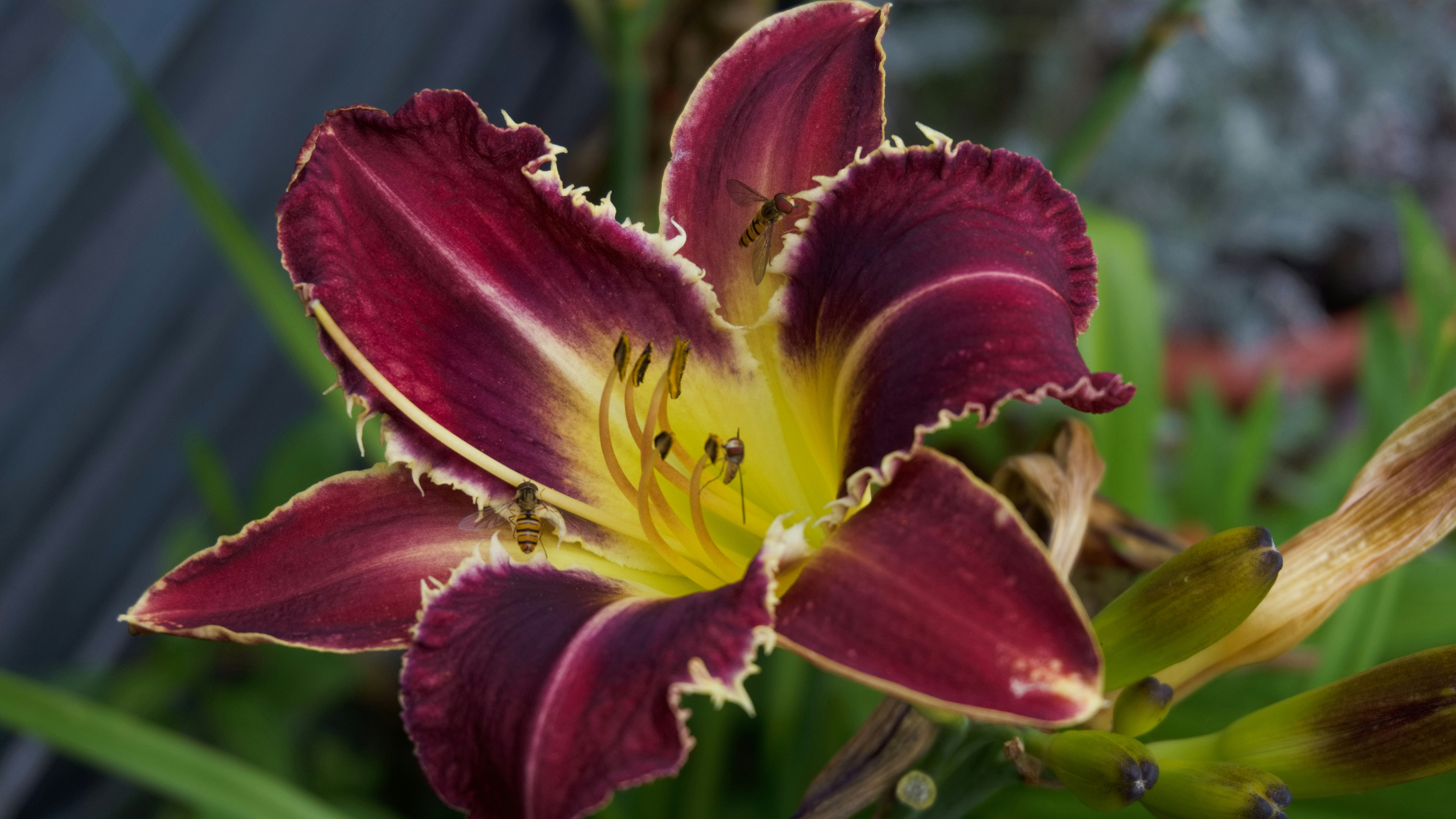 Photo by xd_studio_creation